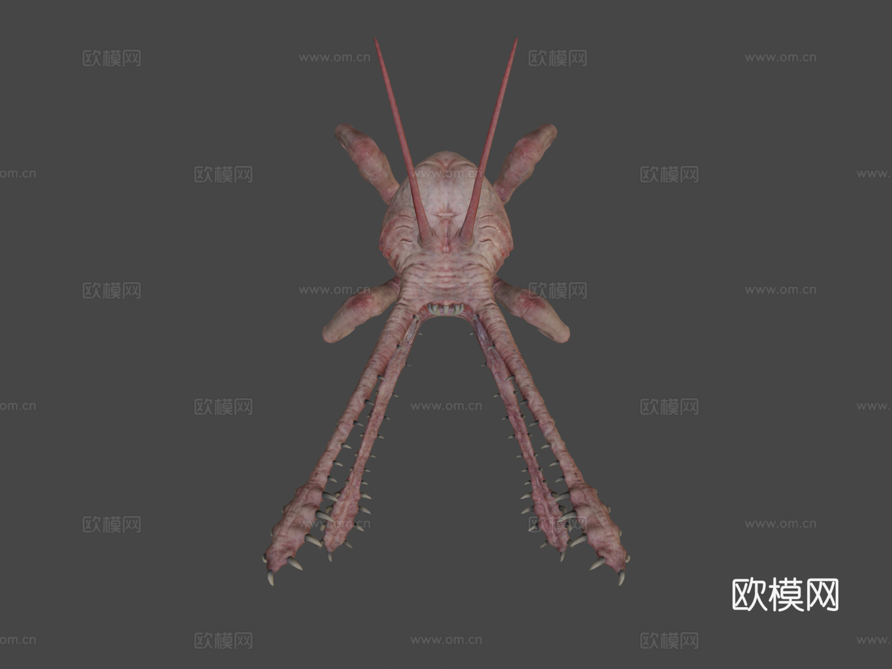 变形动画3d模型