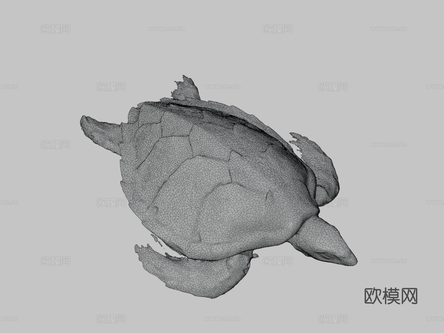 海龟3d模型