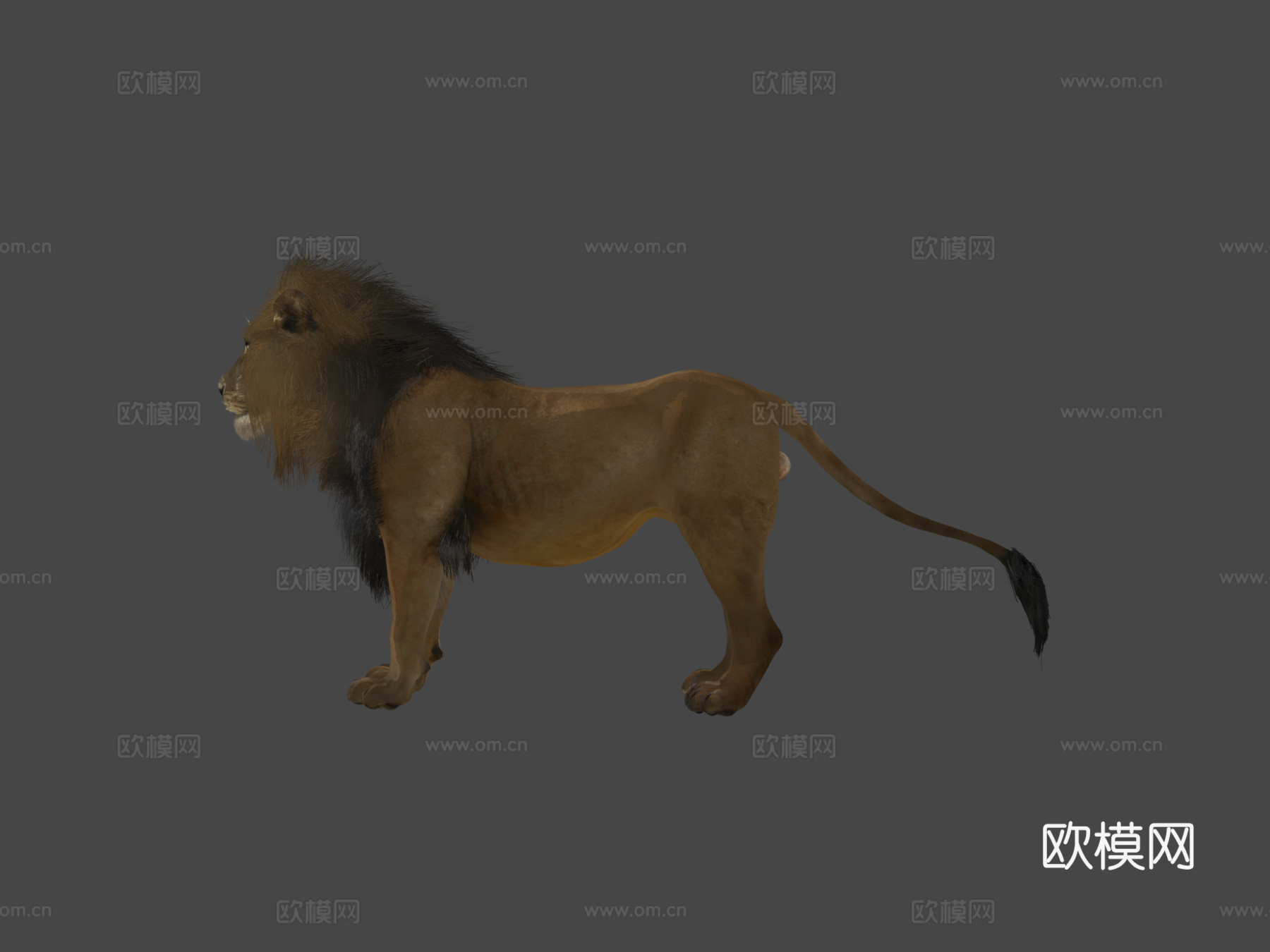 雄狮3d模型