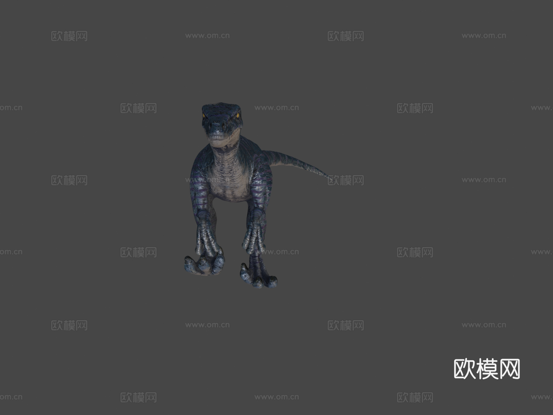 迅猛龙3d模型