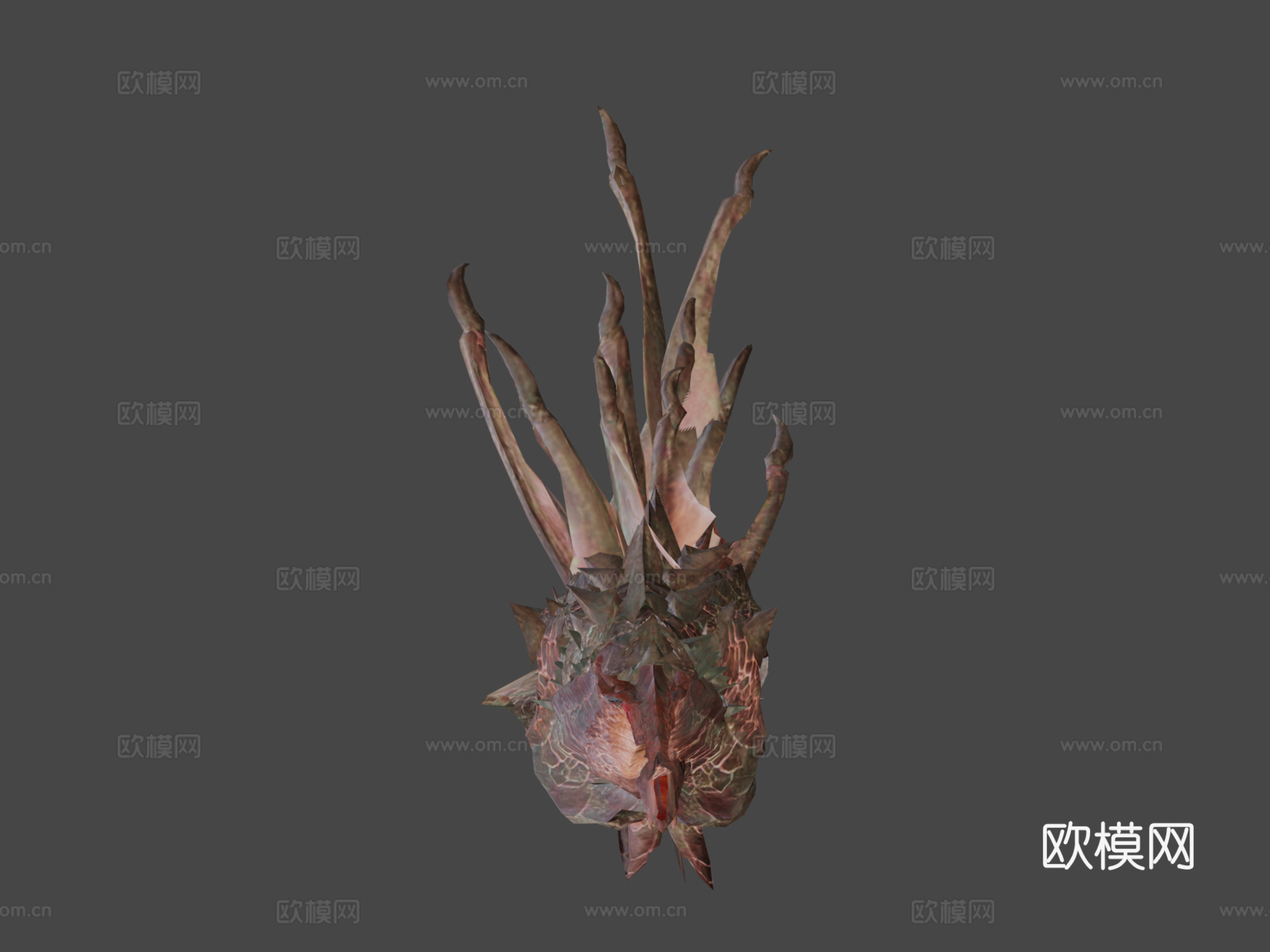 双足飞龙动画(青雉)_13d模型