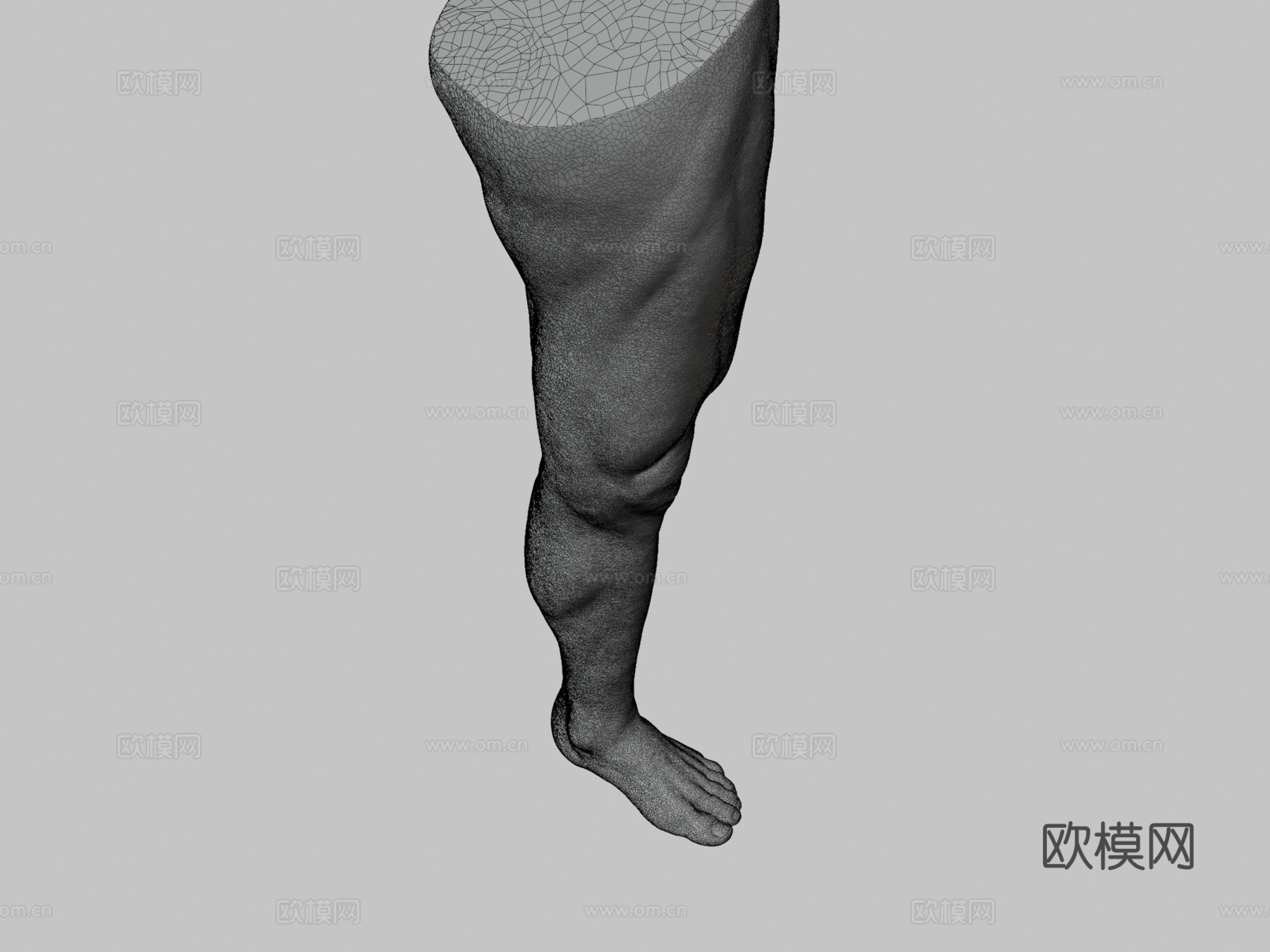 腿3d模型