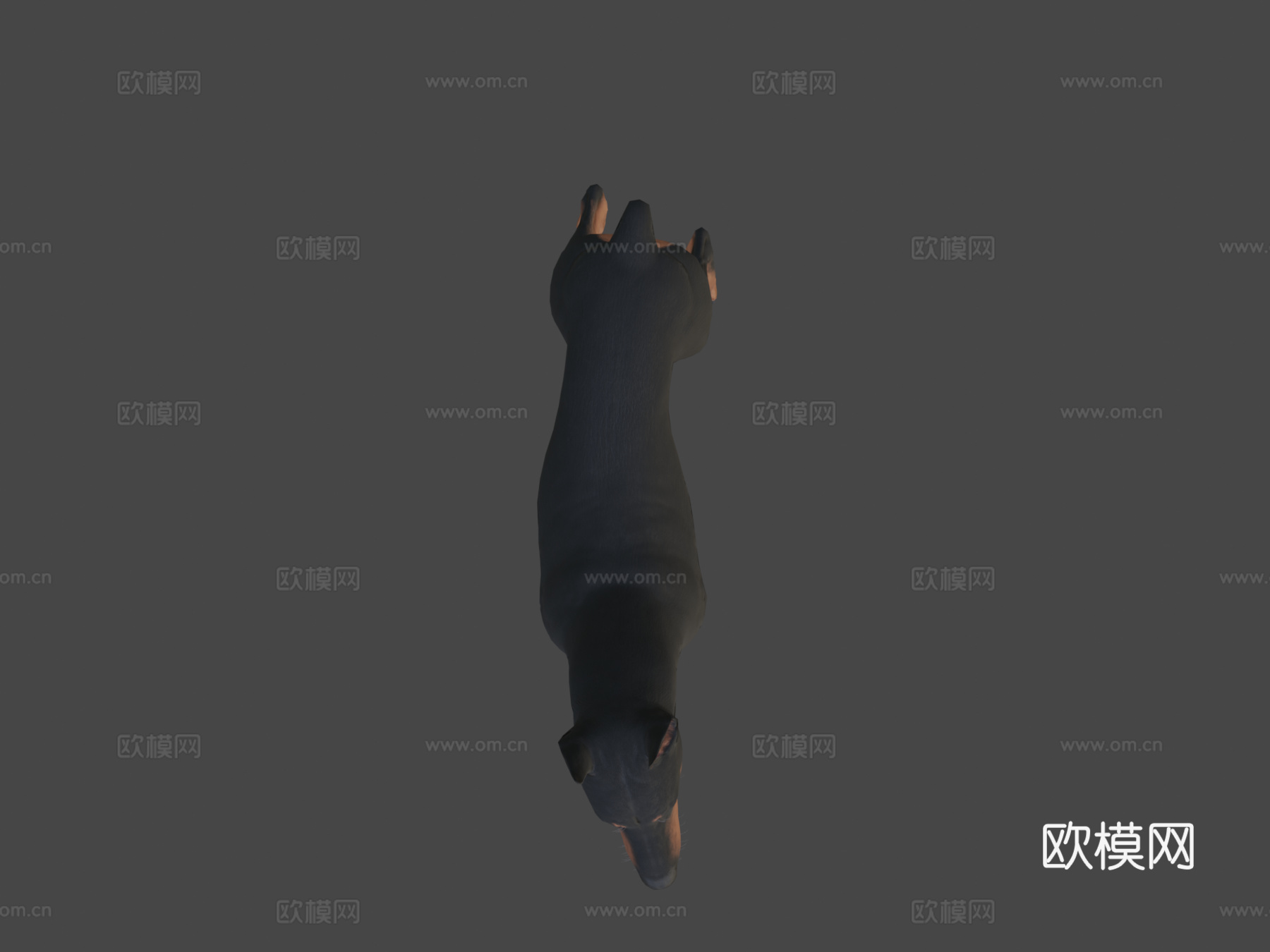 杜宾犬3d模型