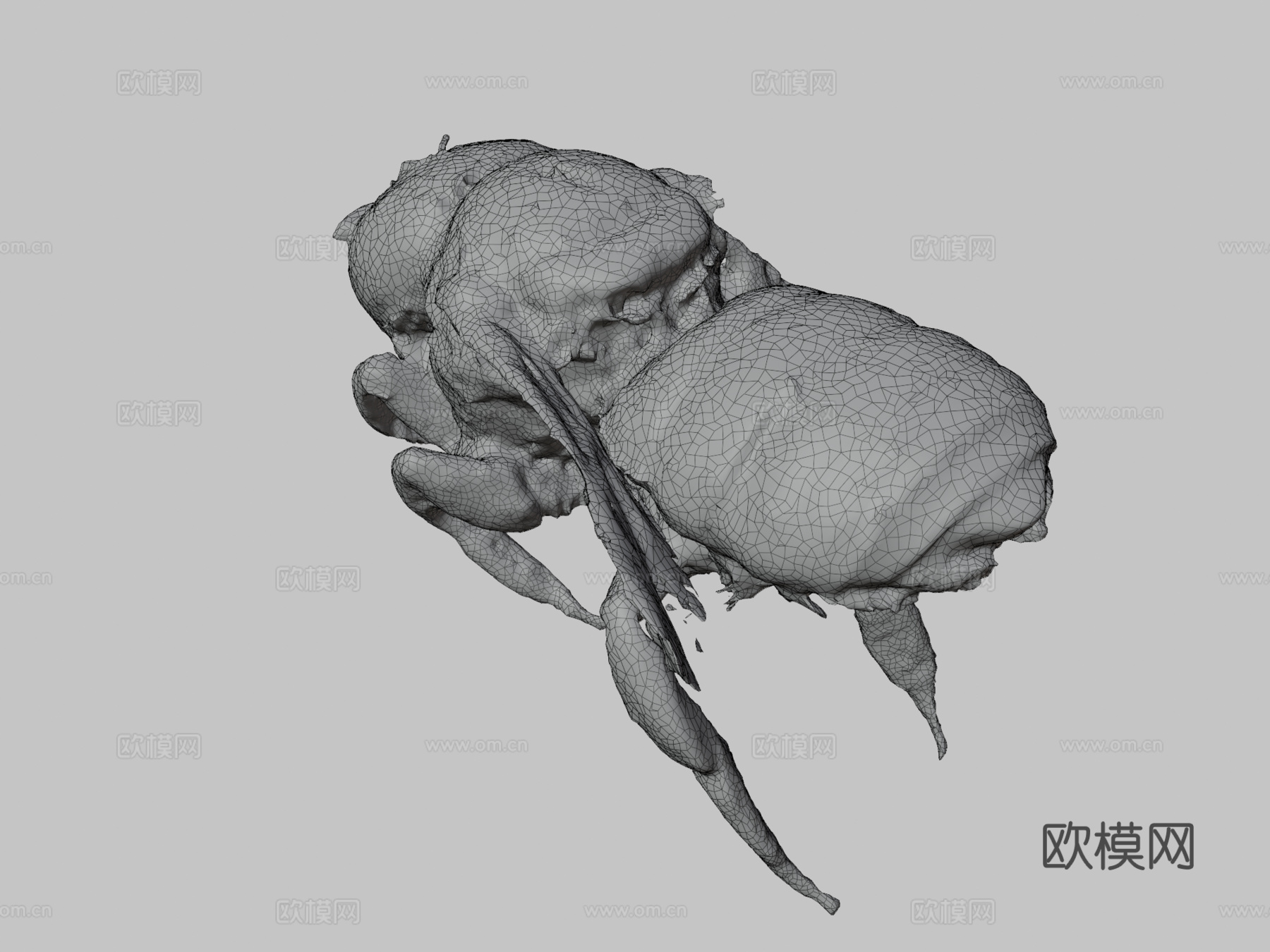 叉尾蜂♀(网格)[1.5厘米]3d模型