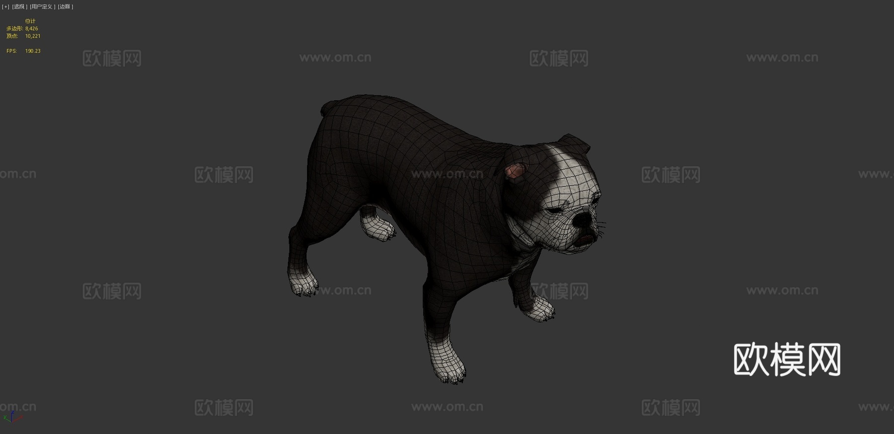 英国斗牛犬3d模型