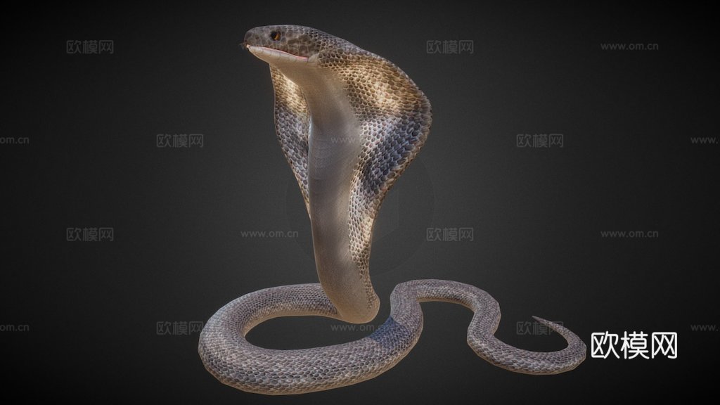 眼镜王蛇绑定低多边形3d模型