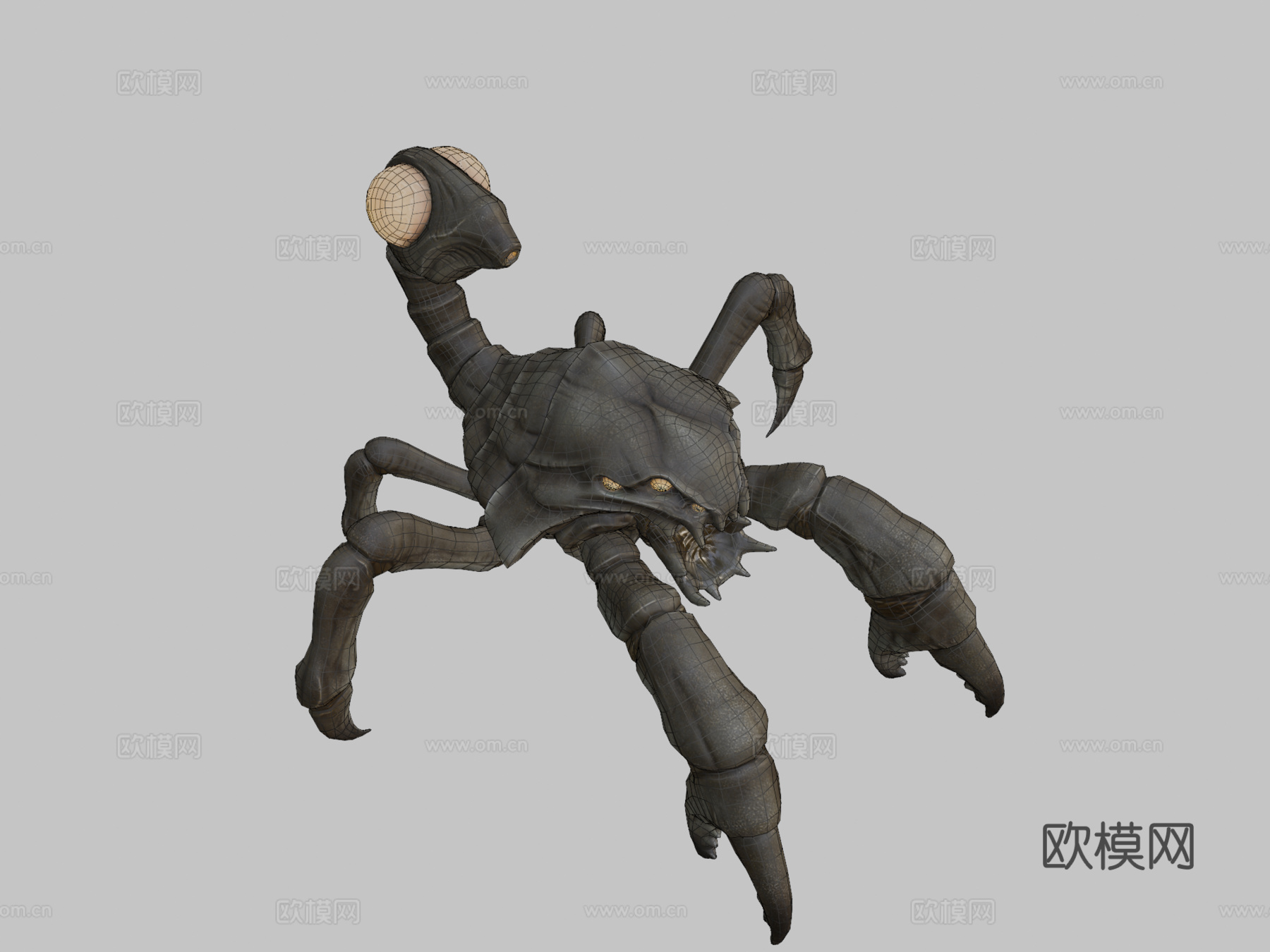 卡西顿动画3d模型