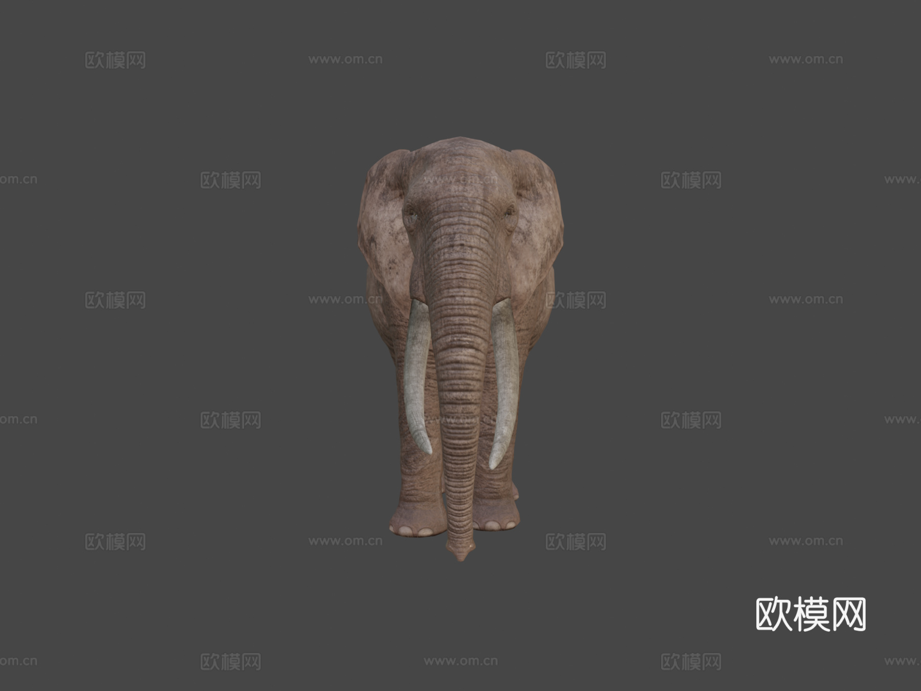 真实大象3d模型