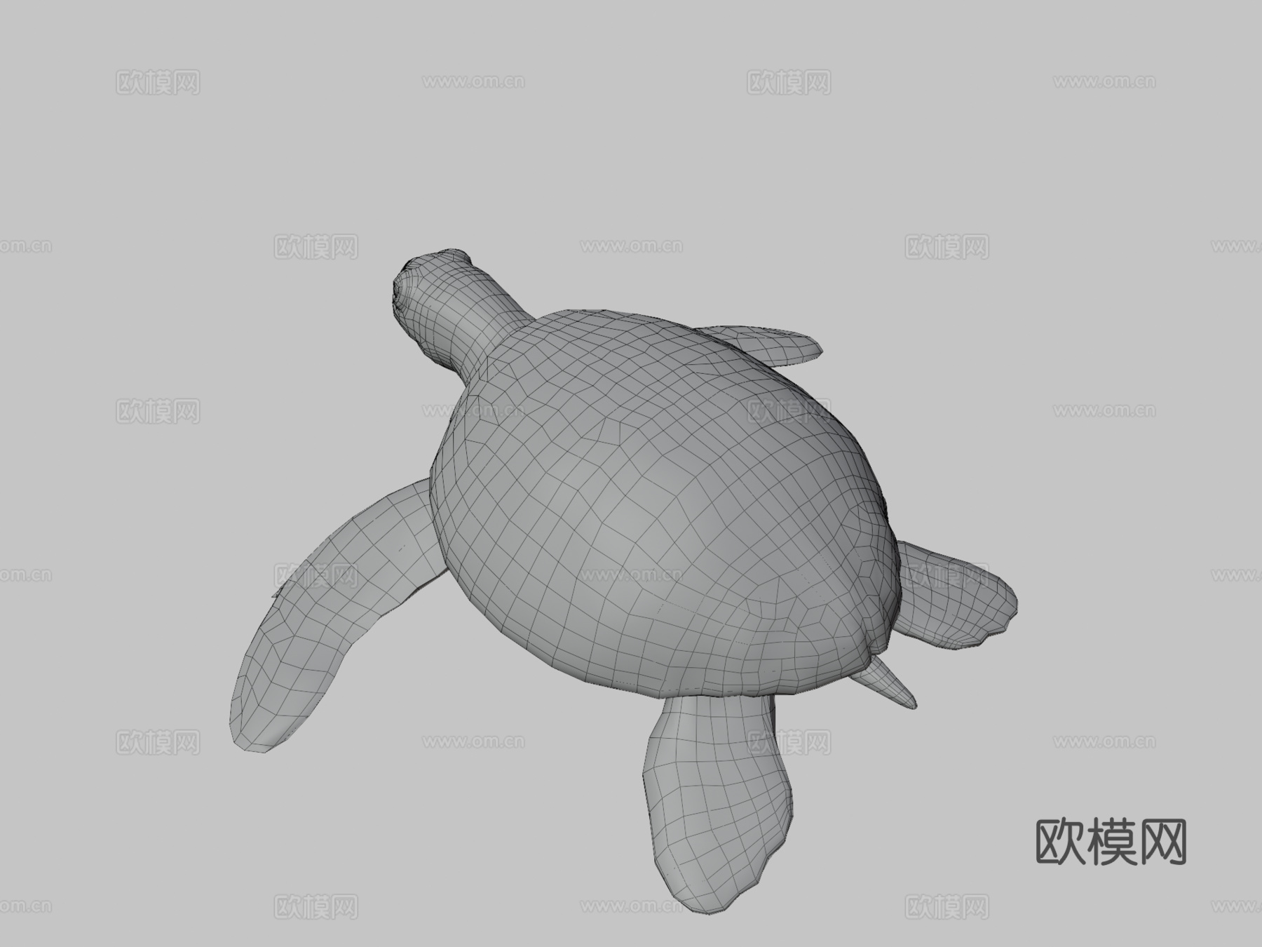 绿海龟3d模型