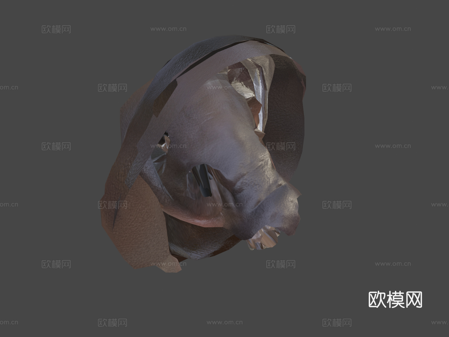侏儒河马宝宝3d模型