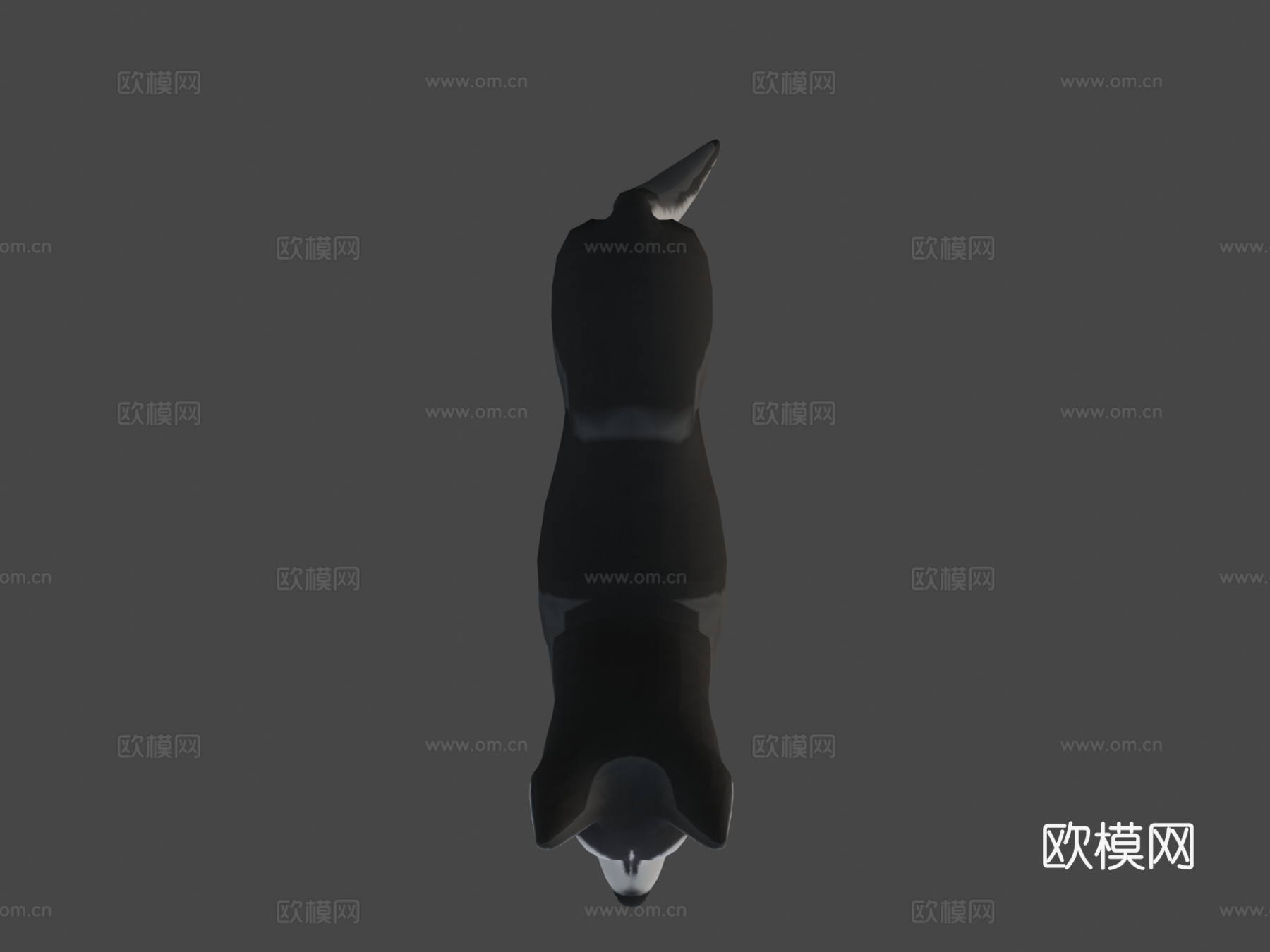 哈士奇犬3d模型