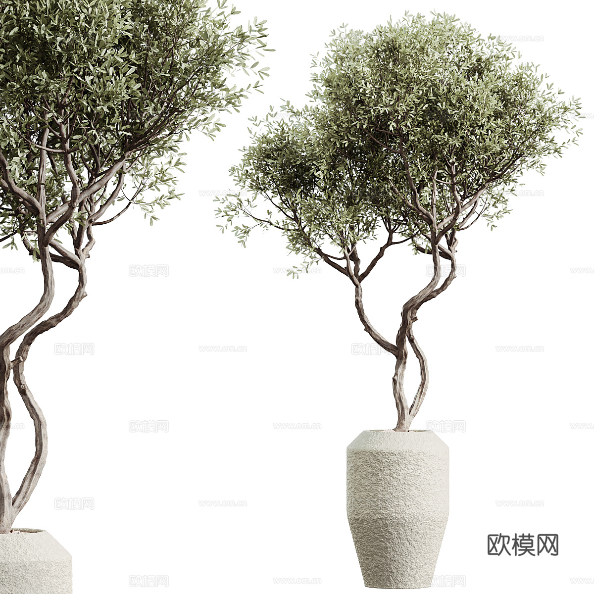 新中式侘寂绿植盆栽3d模型