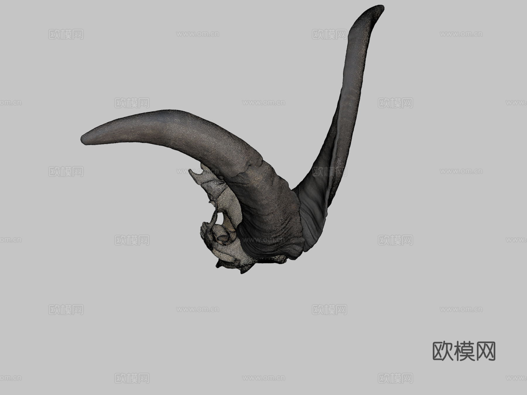 山羊头骨3d模型