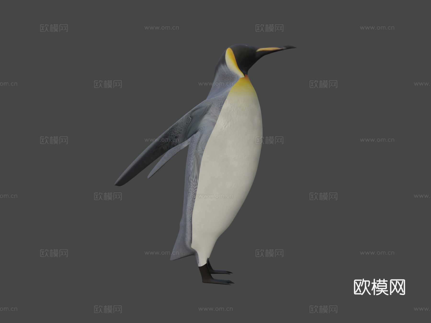 帝企鹅3d模型