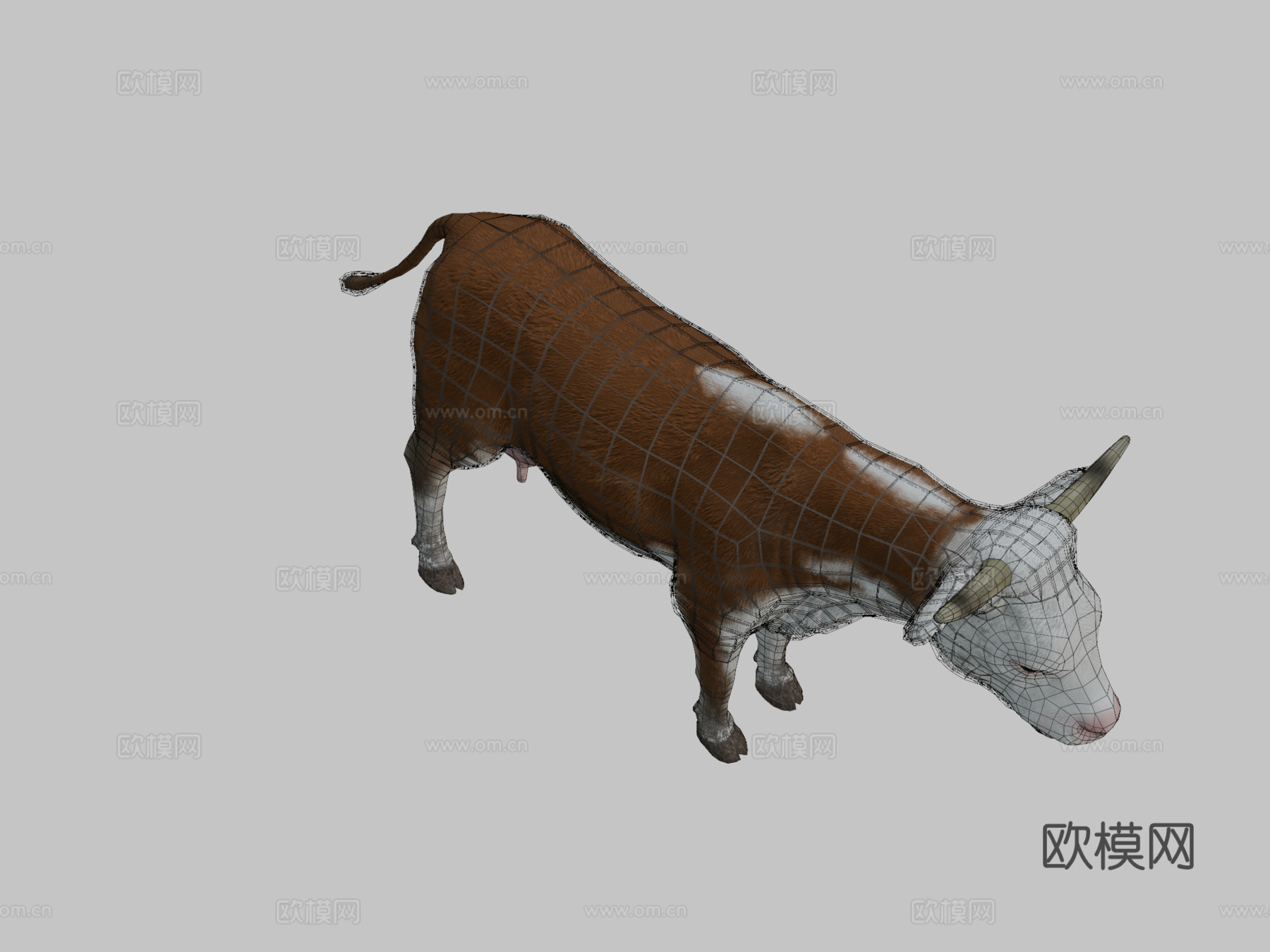 奶牛动画3d模型