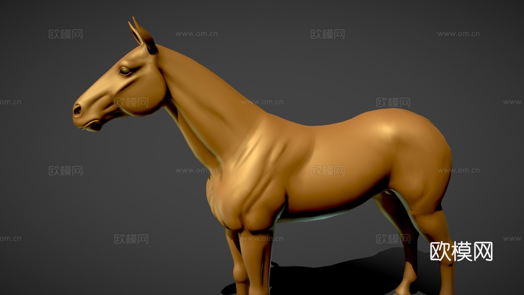 免费马匹3D模型3d模型