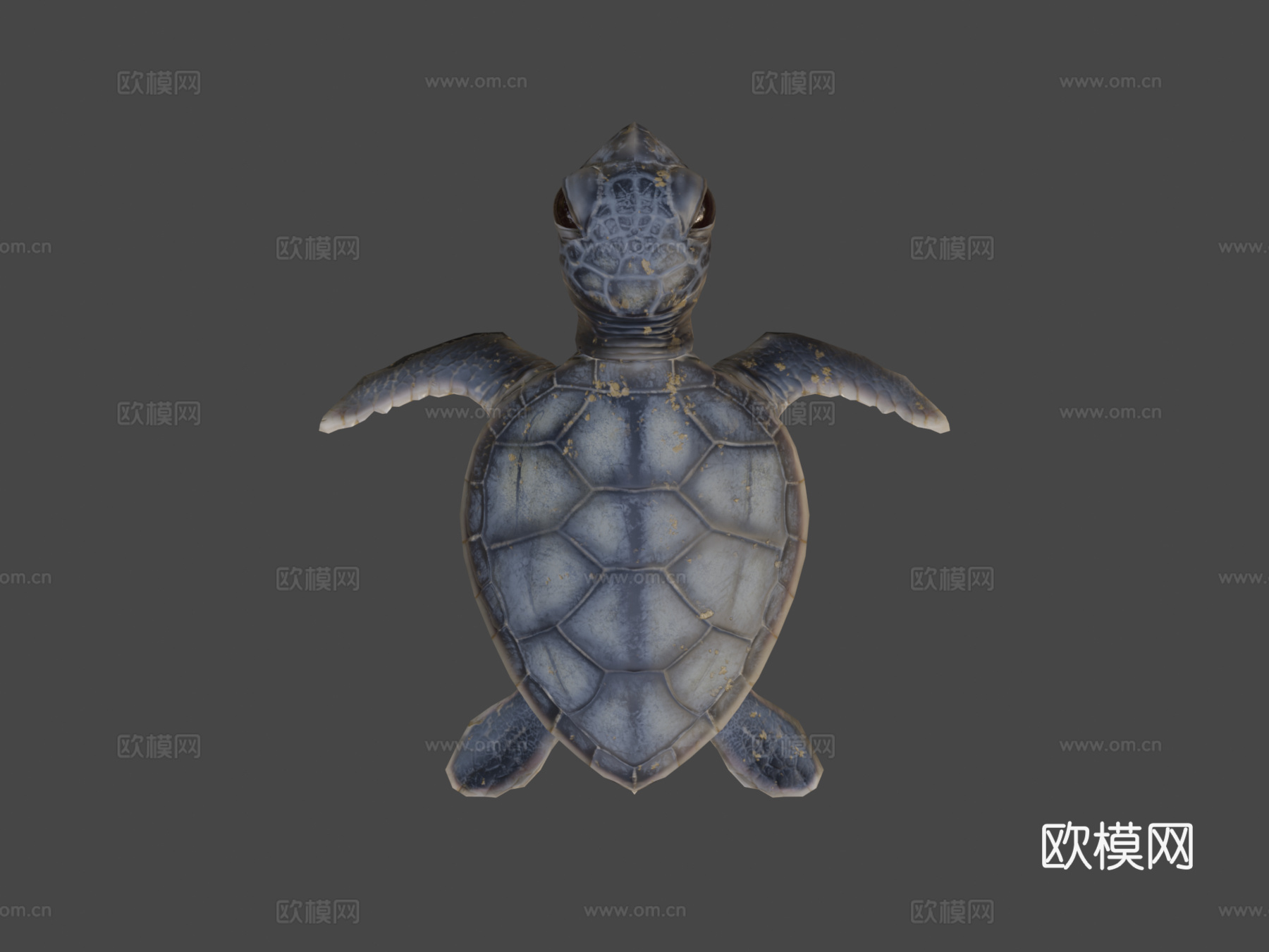 游戏级乌龟3d模型