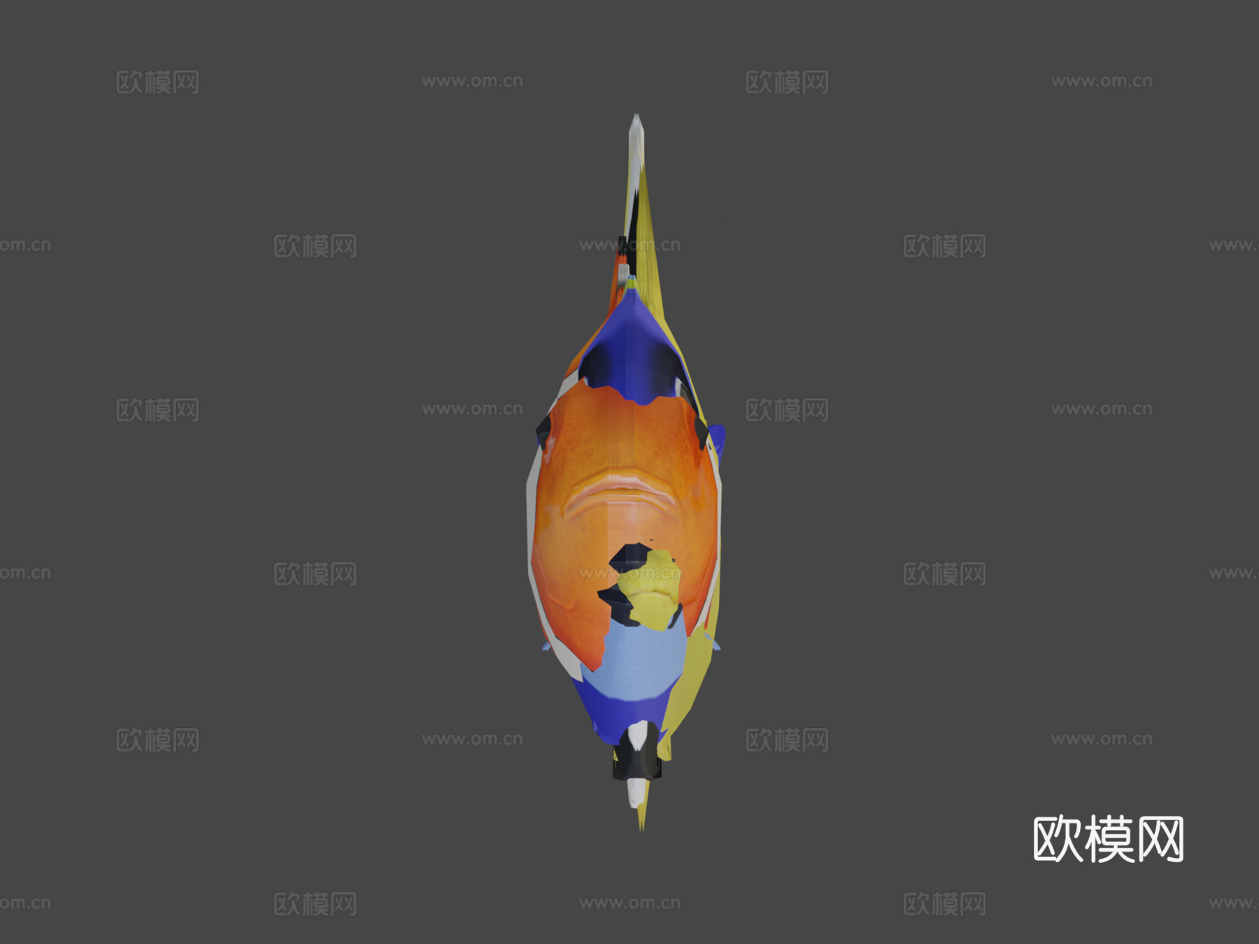 热带鱼群游动动画循环3d模型