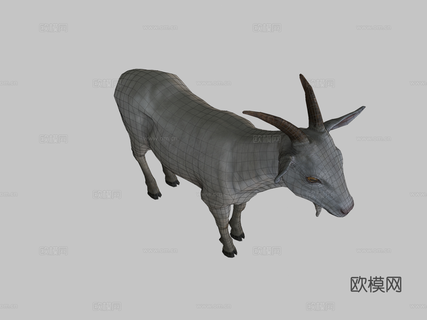 公山羊3d模型