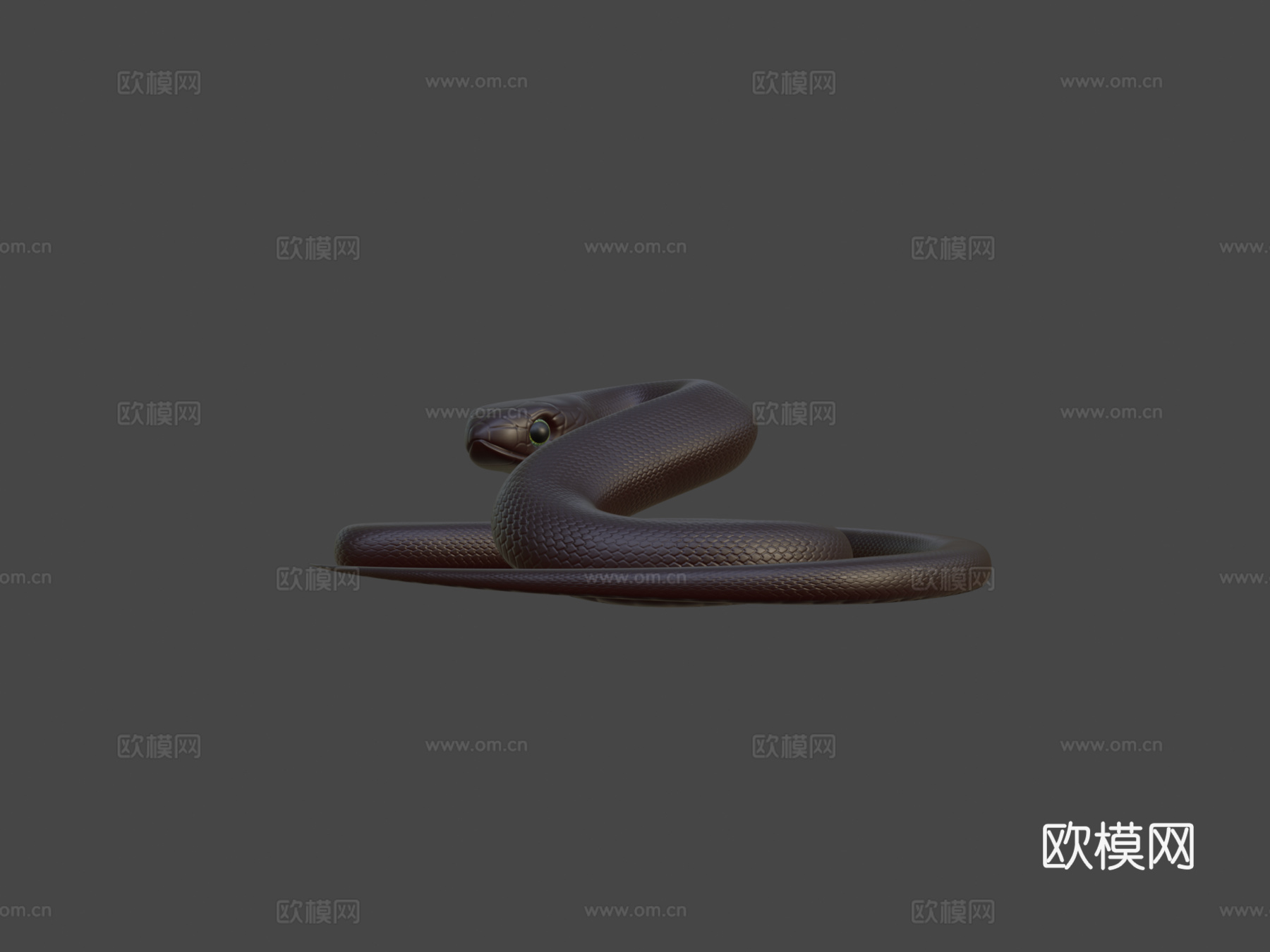 蛇模型3d模型