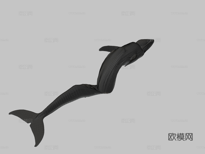 蓝鲸3d模型下载(渲染图3)
