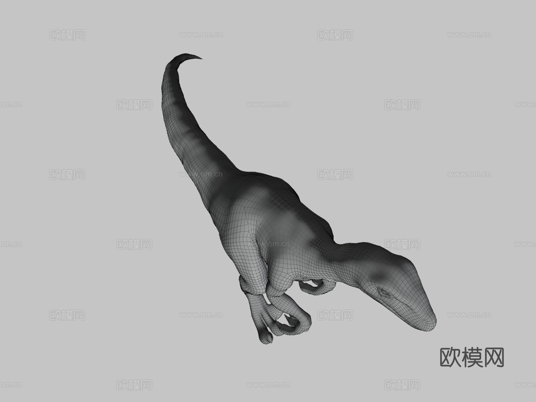 迅猛龙3d模型