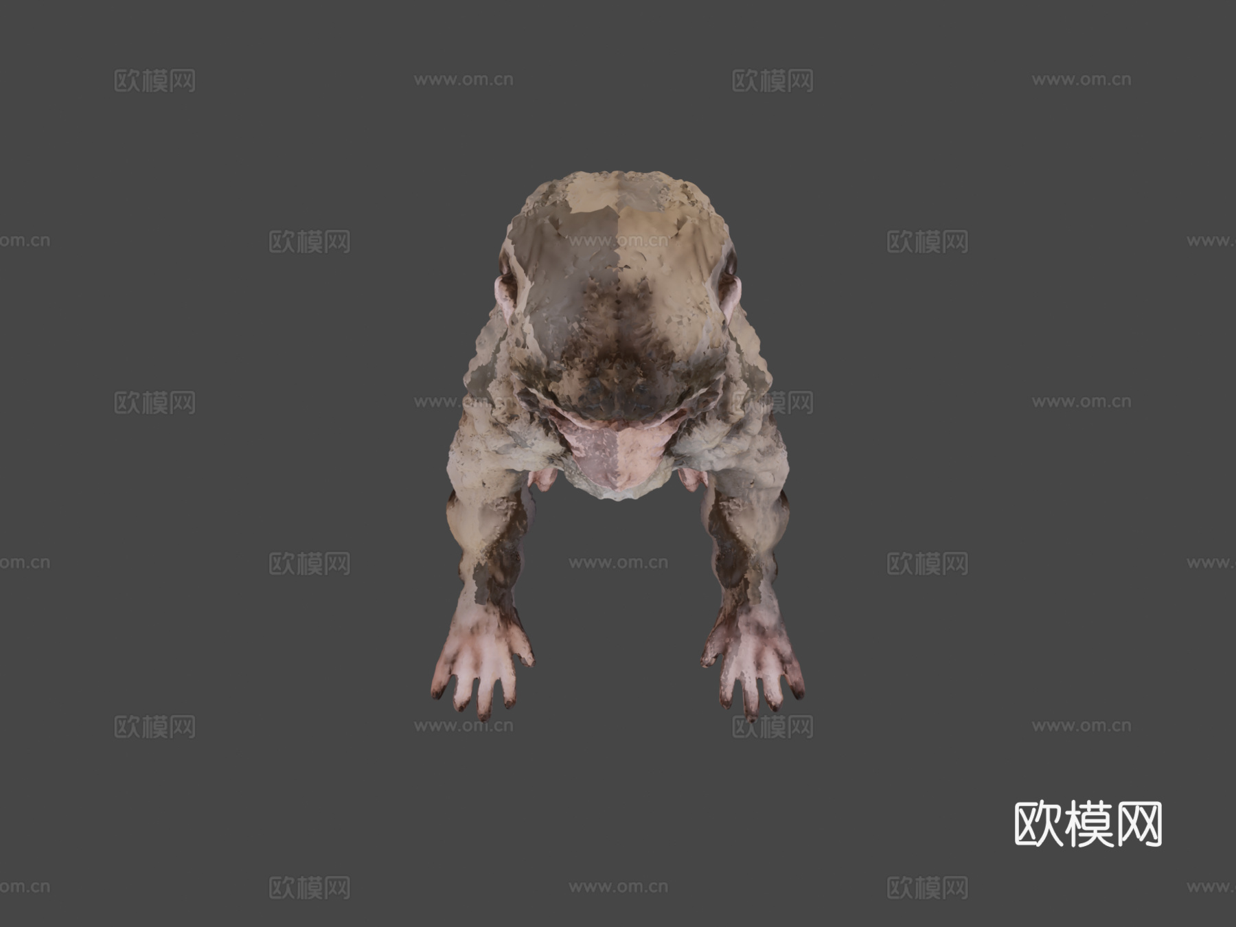 日本猴3d模型