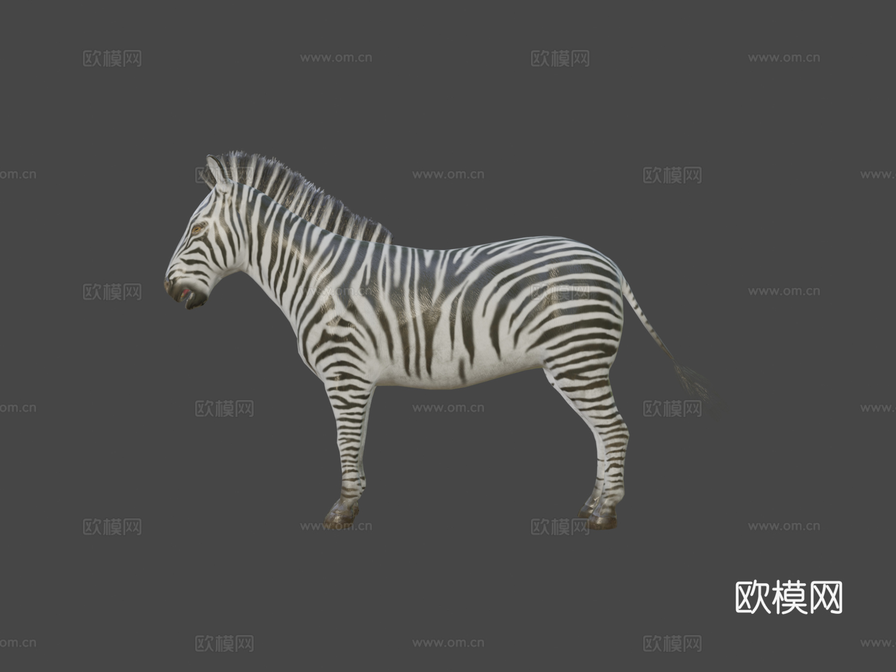 斑马动画3d模型