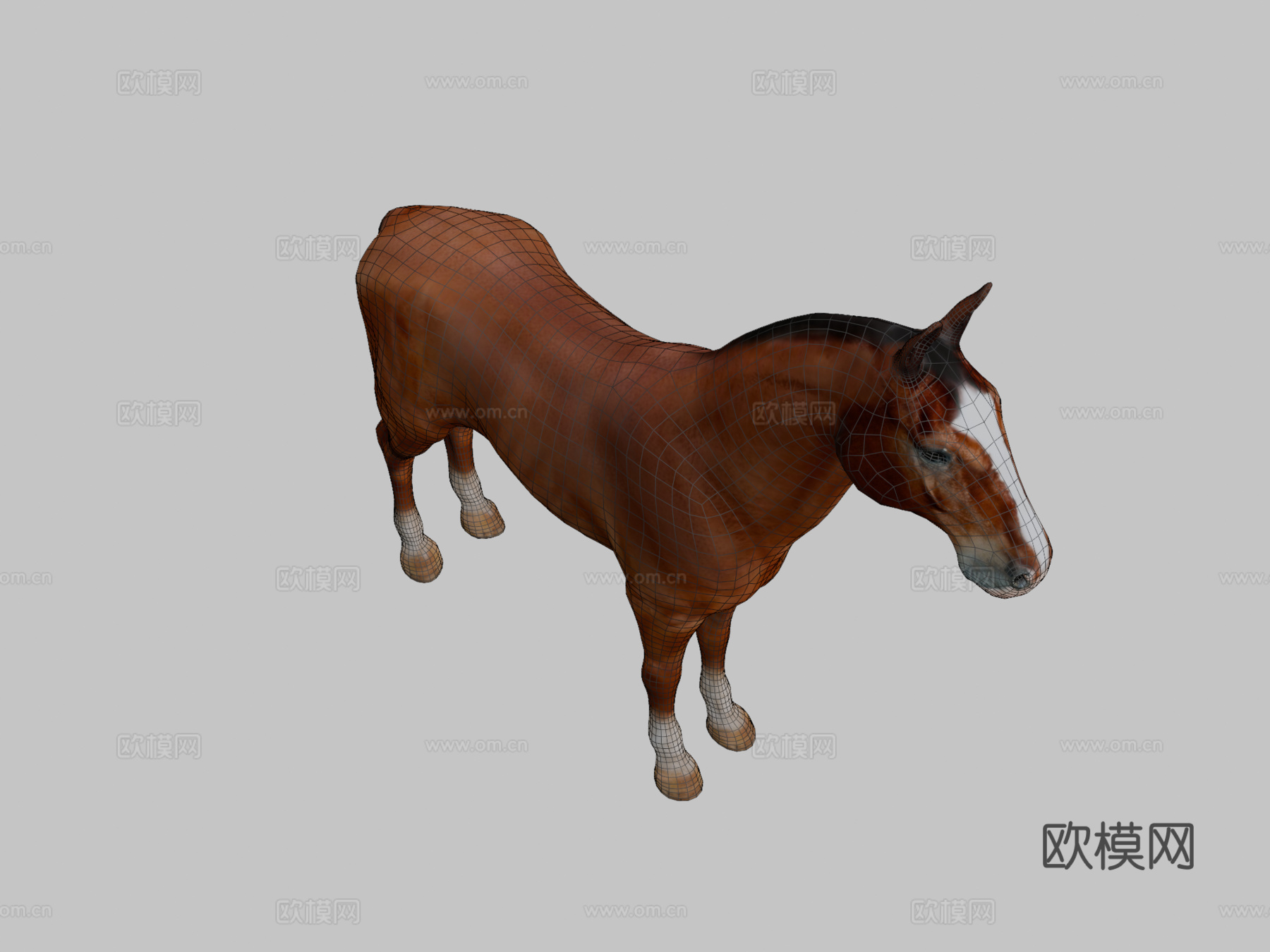 马基础网格3d模型