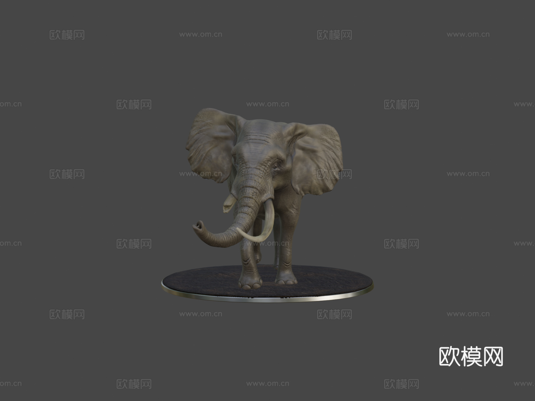 大象3d模型
