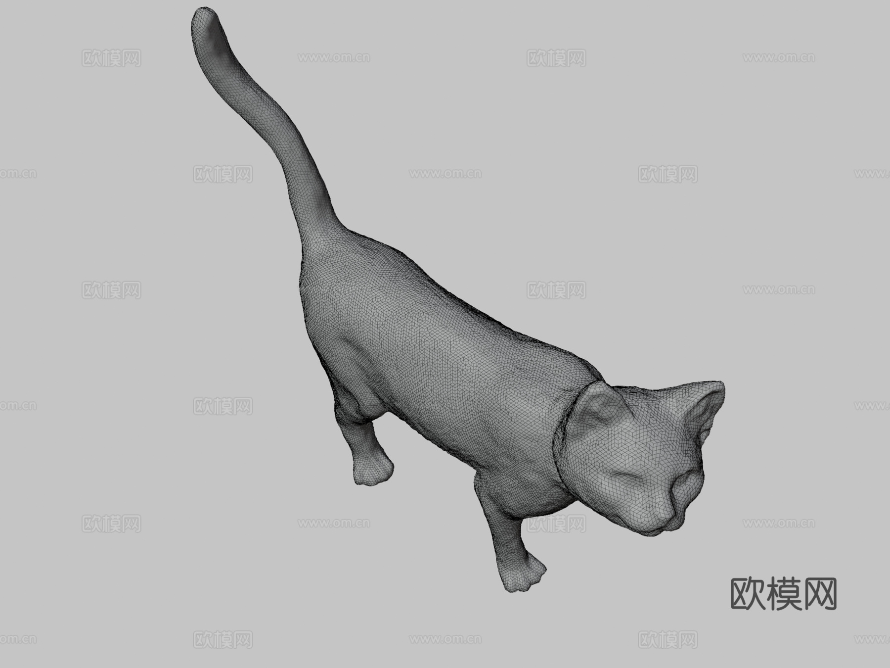 微型猫3d模型
