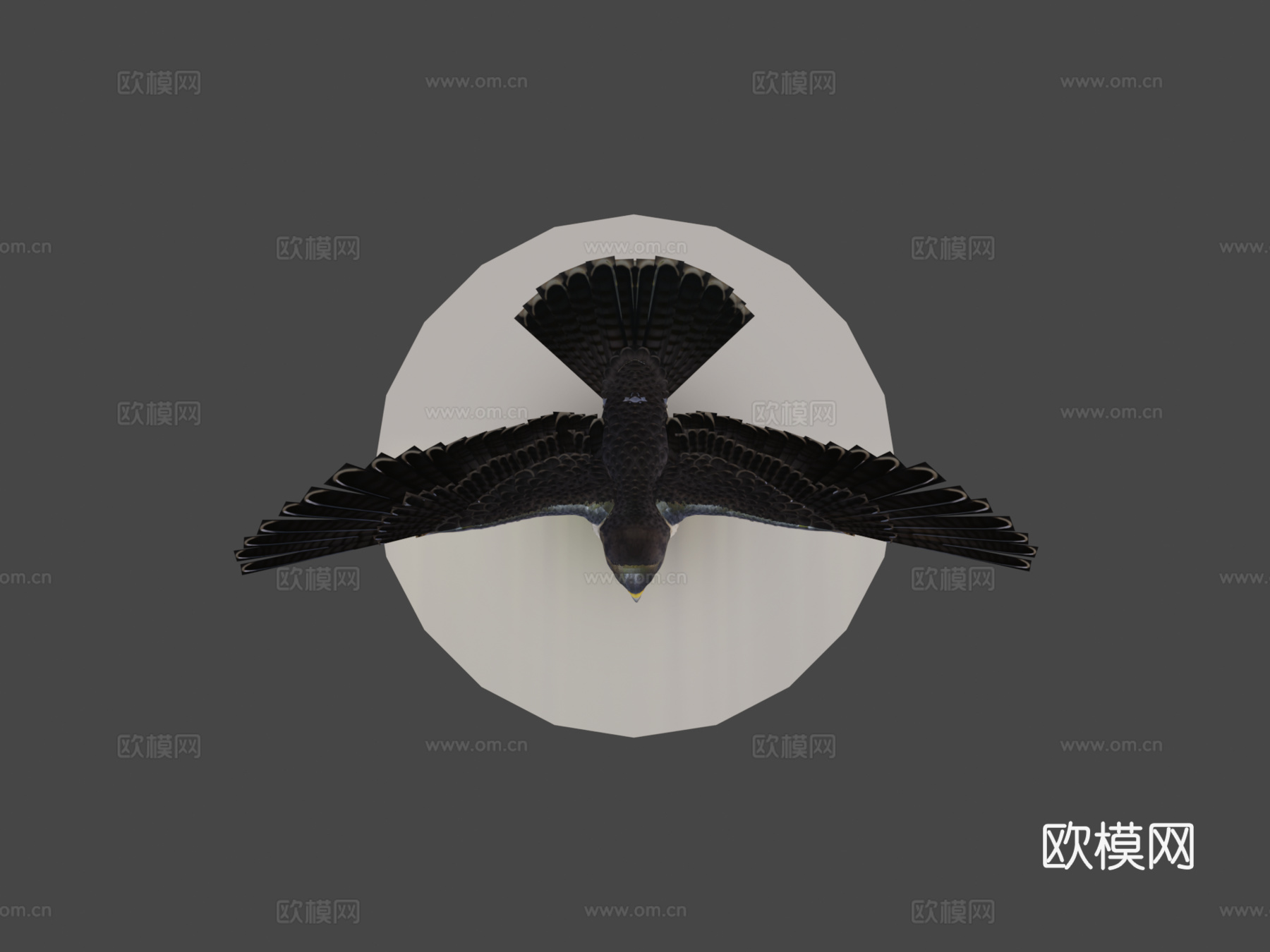 游隼3d模型