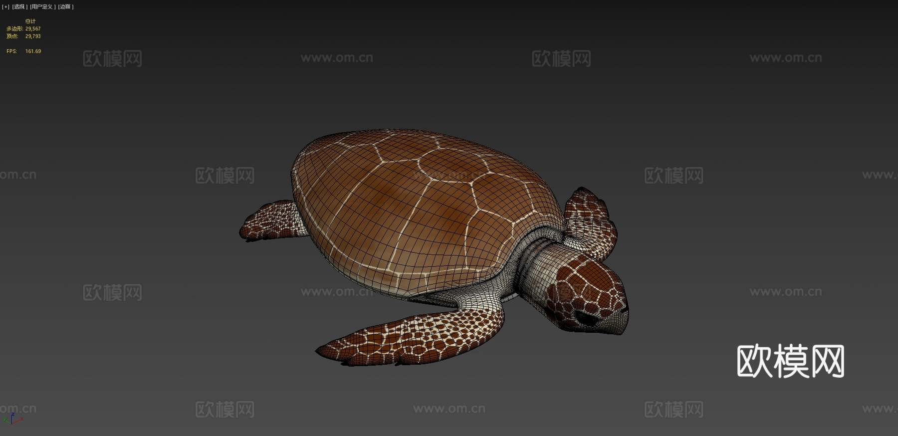 蠵龟3d模型