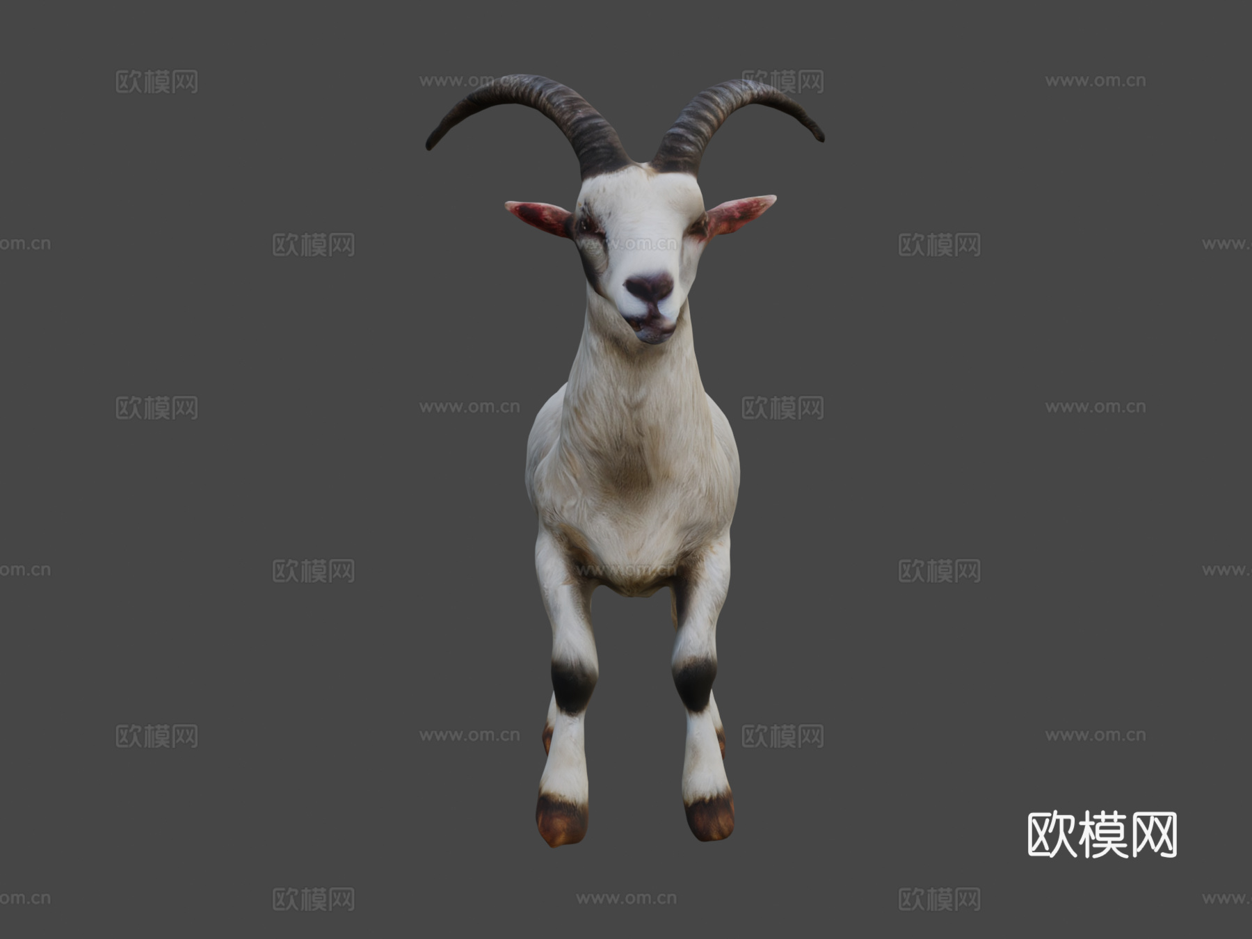 山羊3d模型