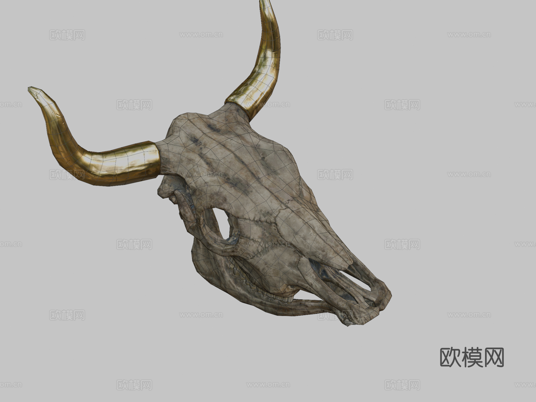 牛头骨3d模型