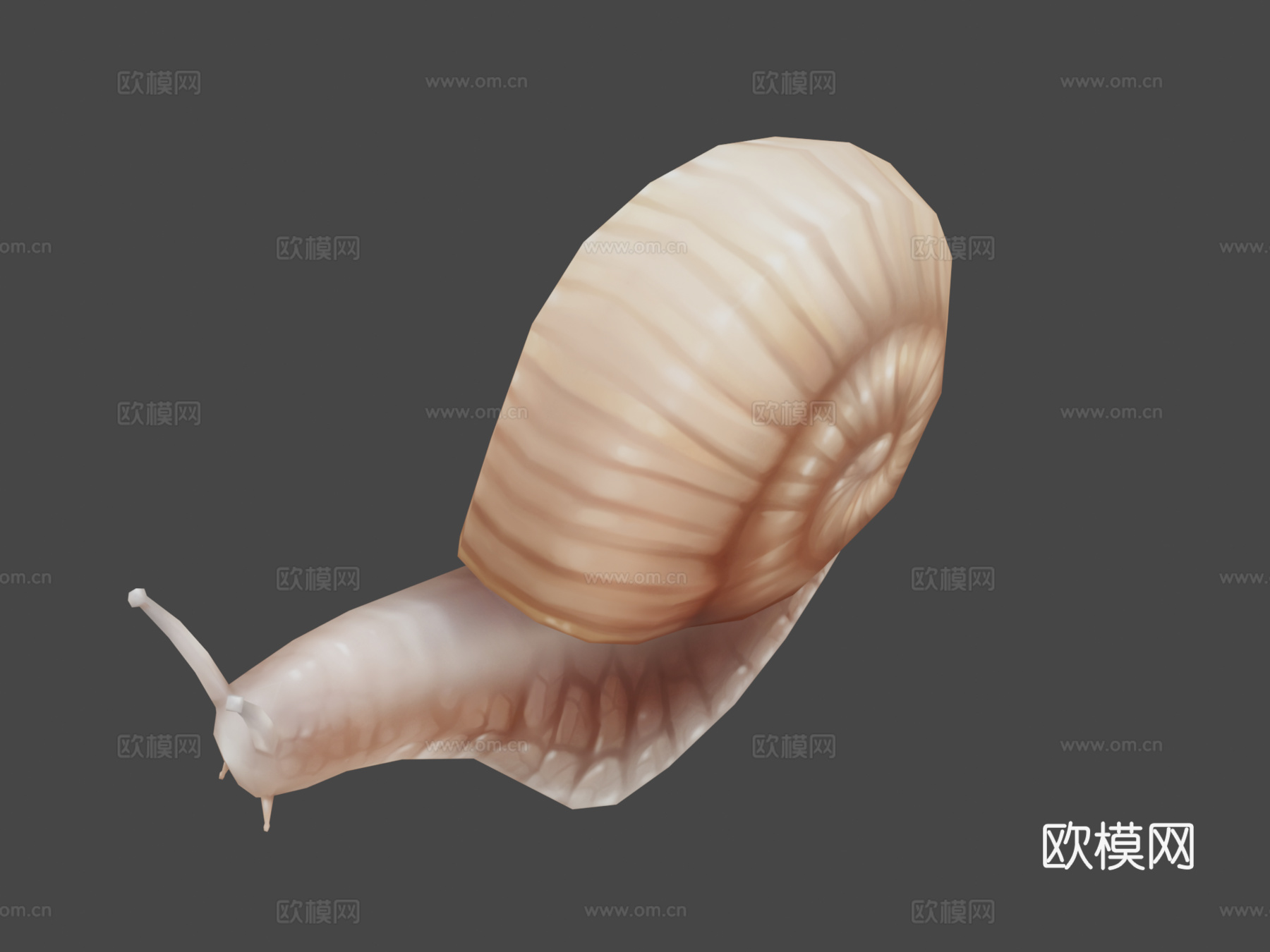 蜗牛3d模型