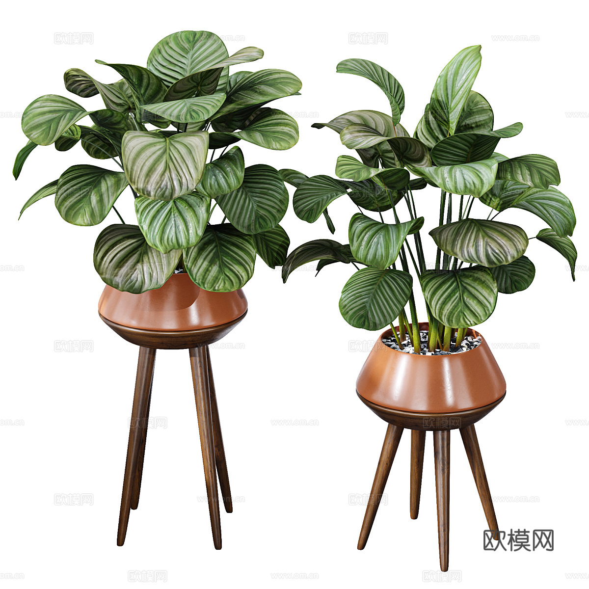 现代绿植盆景 盆栽3d模型