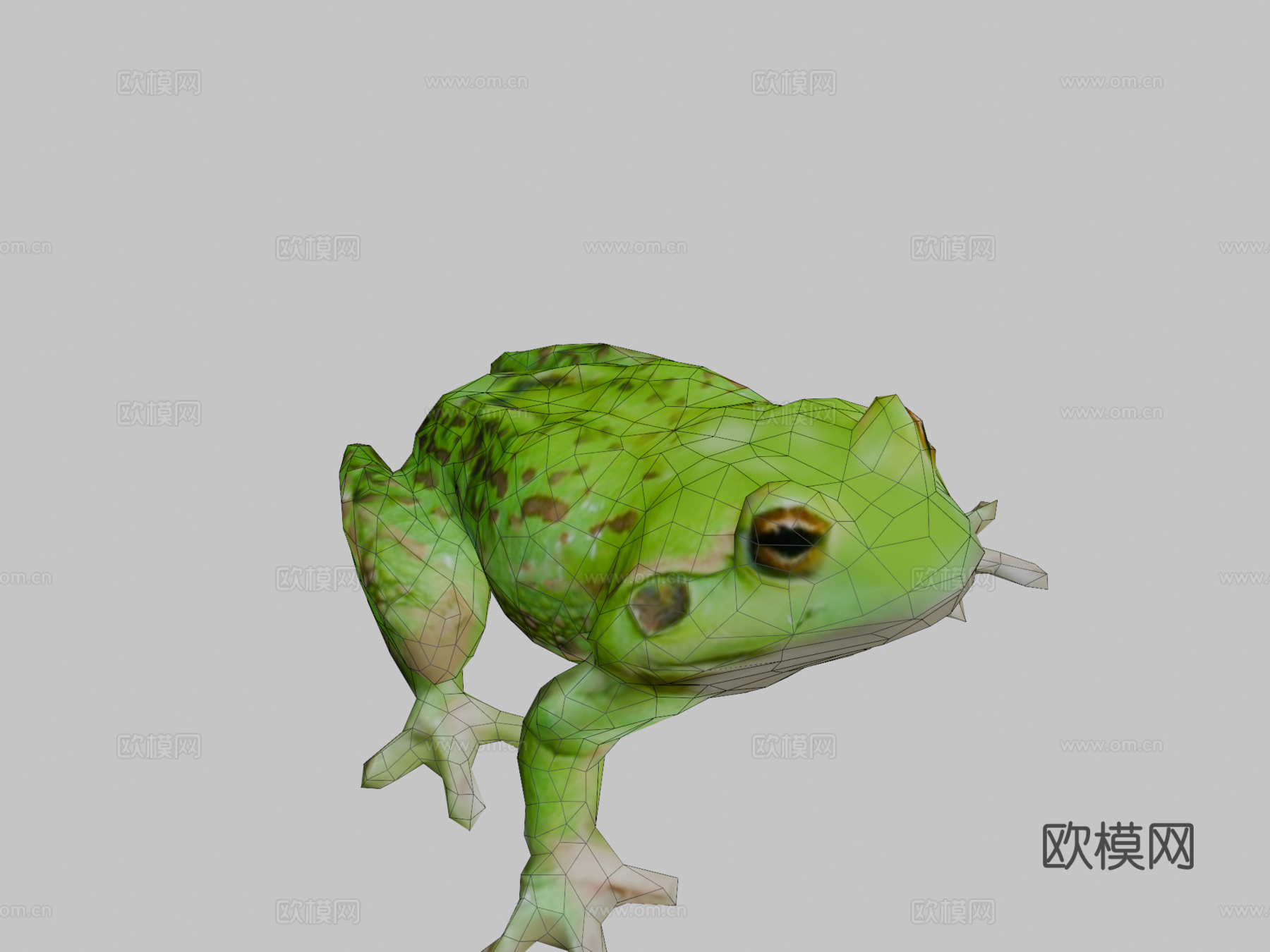 青蛙3d模型