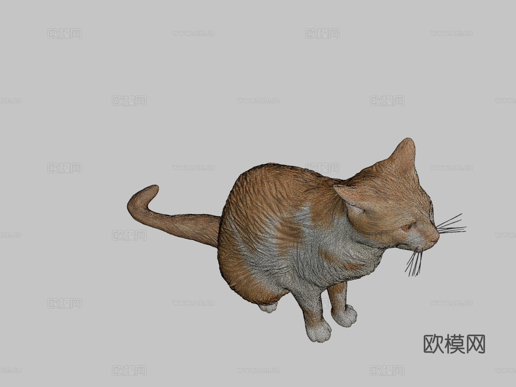 红猫07号3d模型