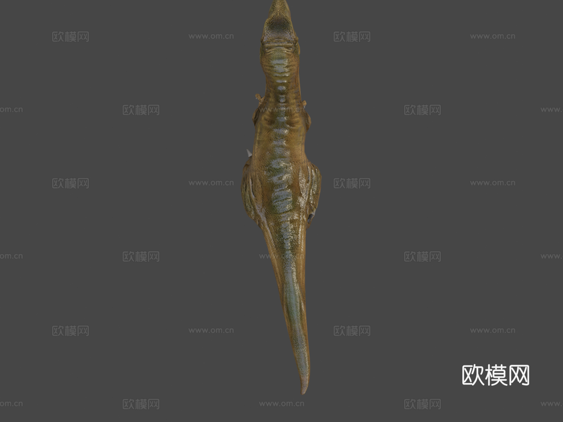 霸王龙低多边形3d模型