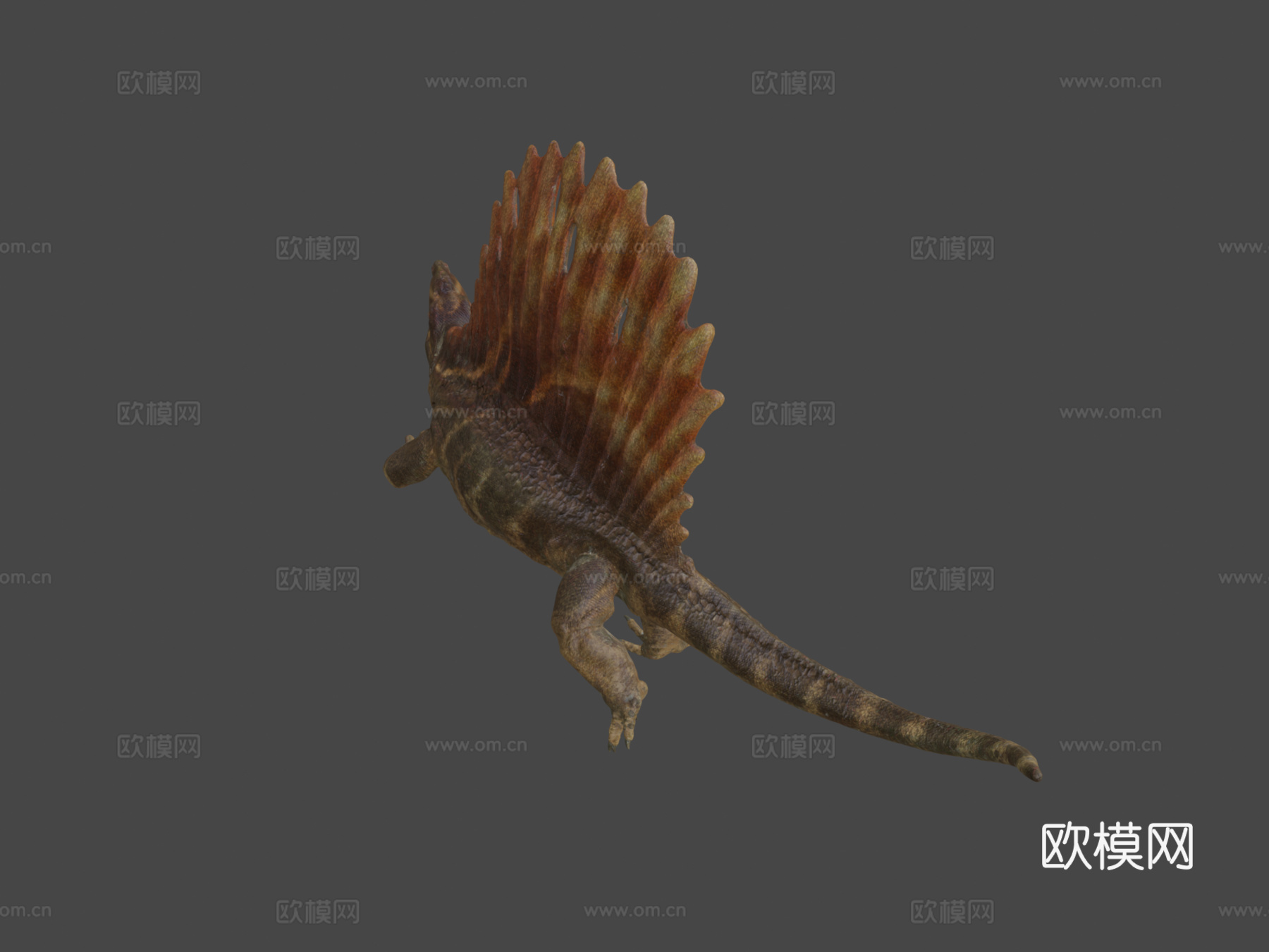 异齿龙3d模型