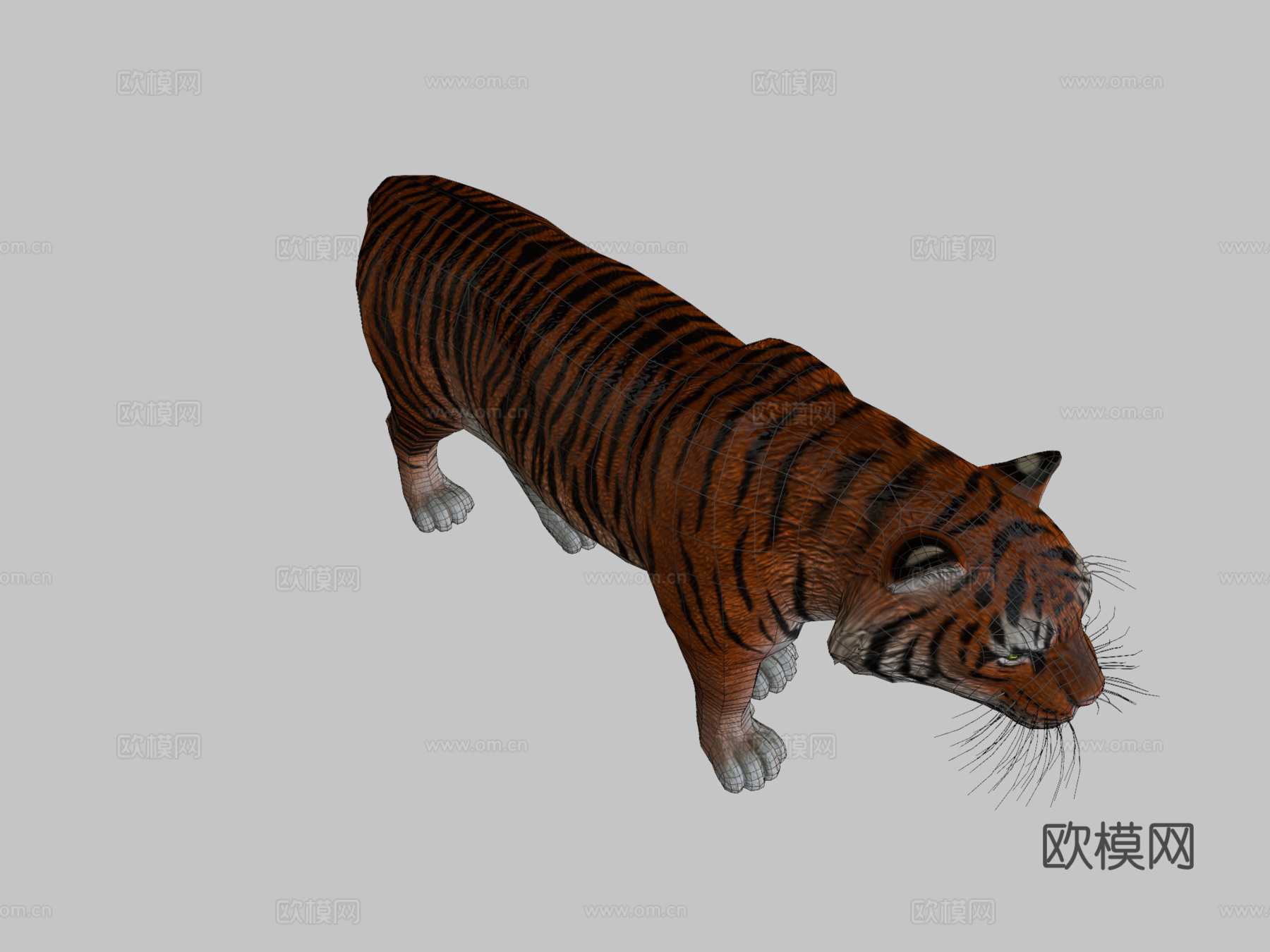 里海虎3d模型