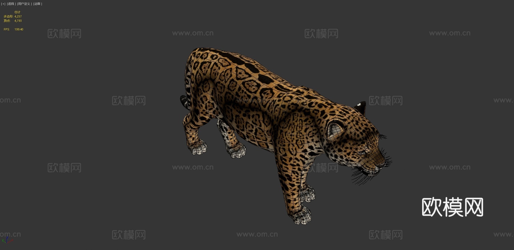 美洲豹3d模型