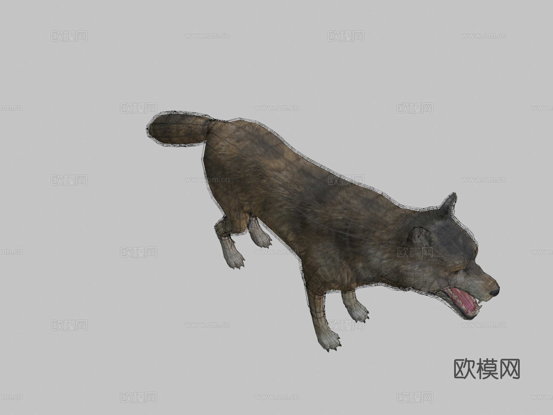 狼动画3d模型