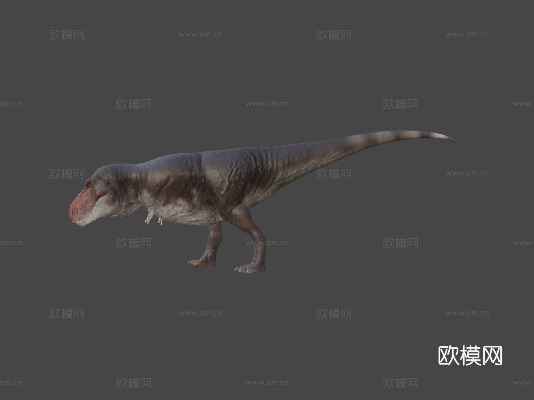 暴龙3d模型