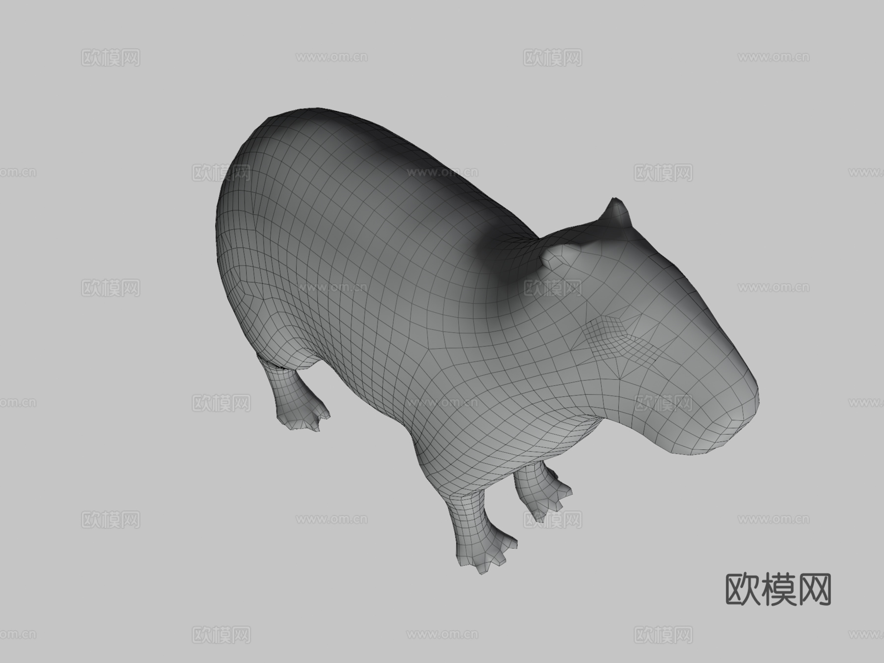 水豚3d模型