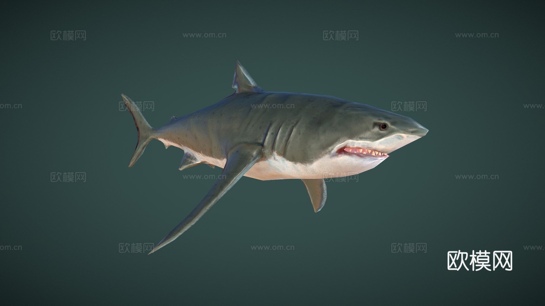 大白鲨(马特乌斯·施瓦布)_23d模型