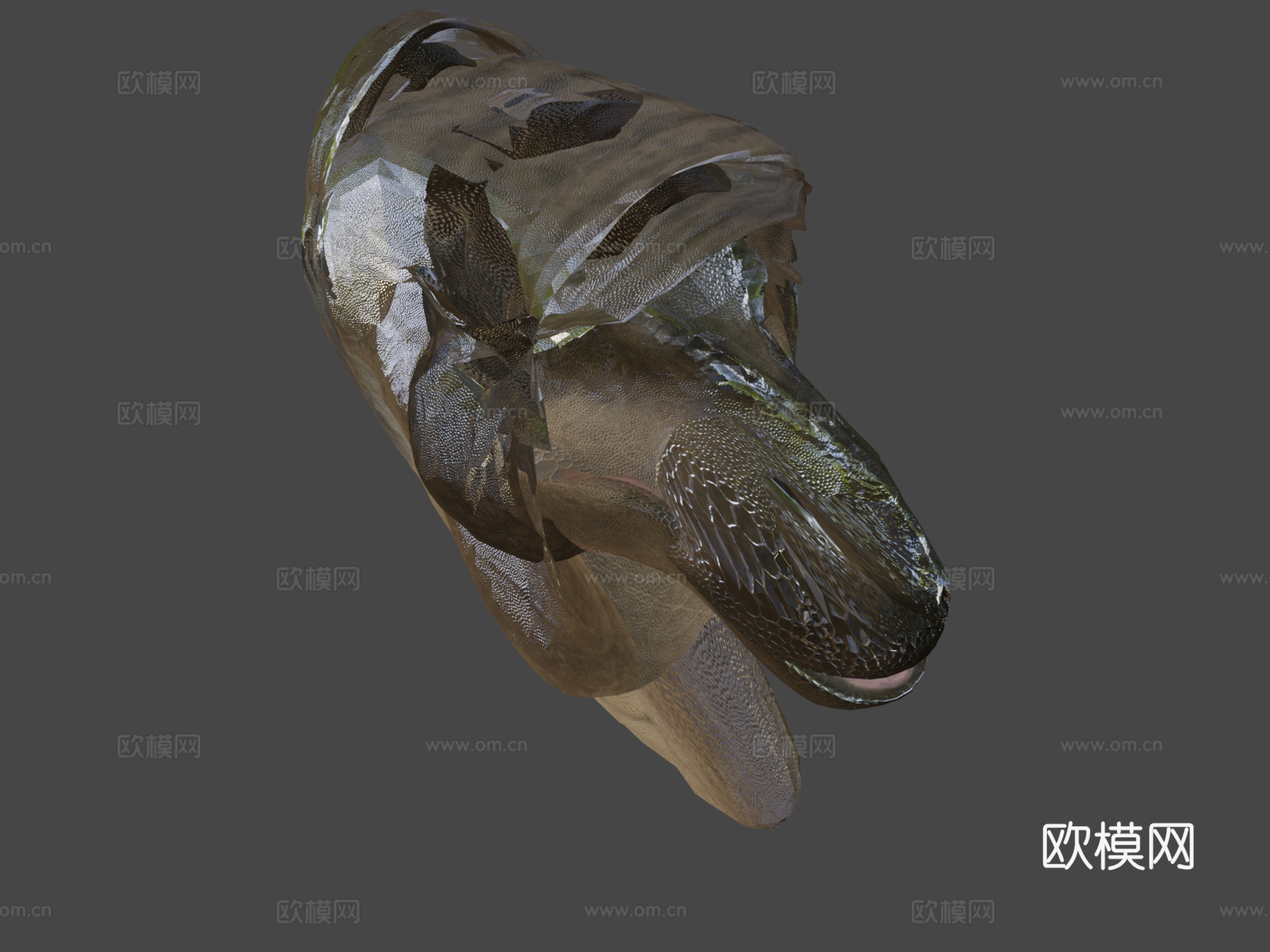 霸王龙3d模型