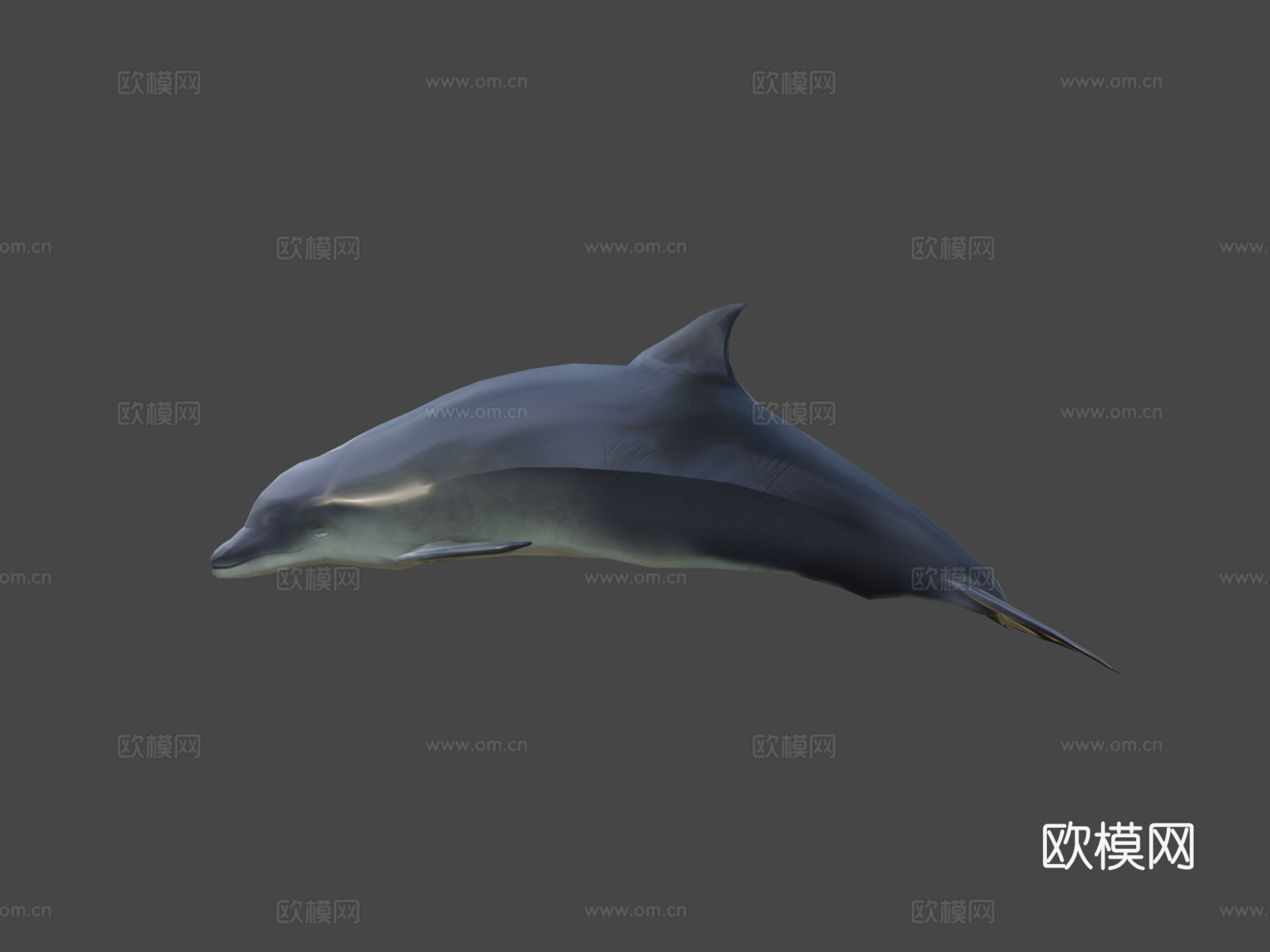 游戏级海豚3d模型