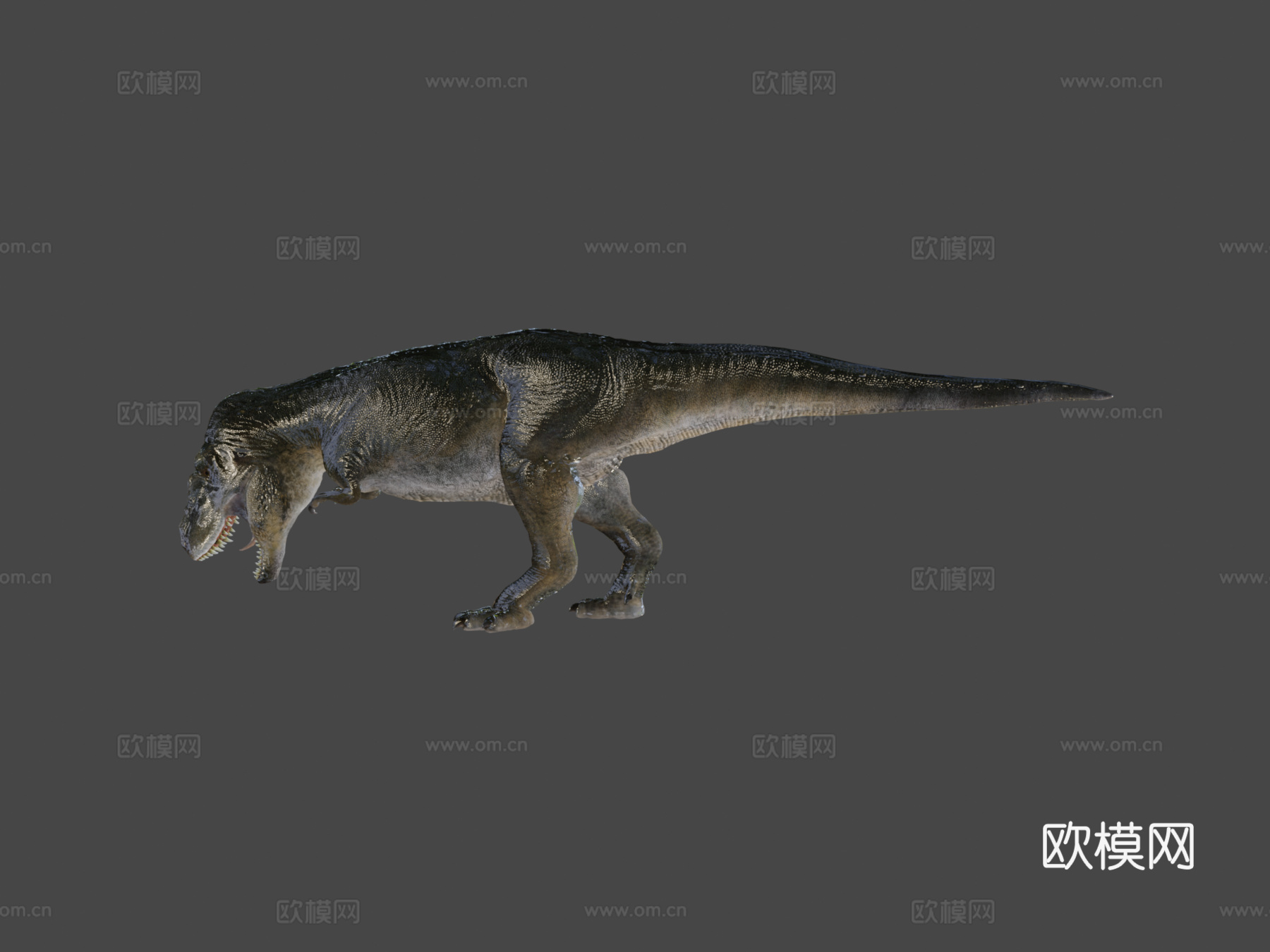特暴龙3d模型